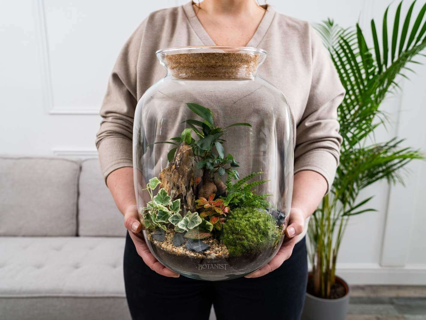 terrarium-delivery-uk