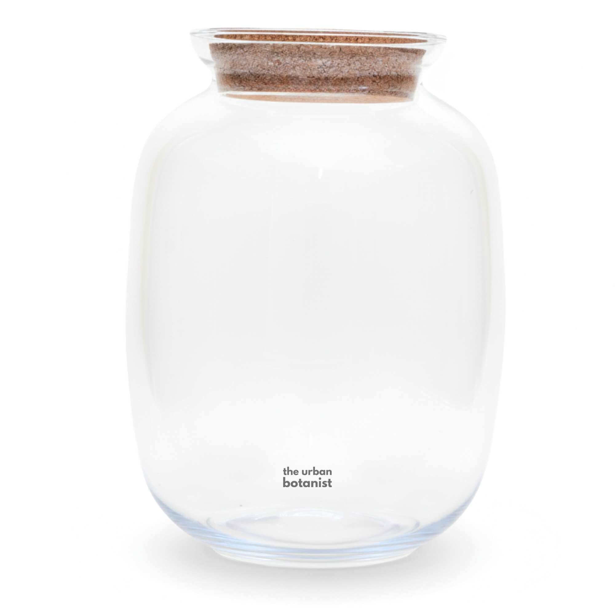 Glass balloon-shaped terrarium container with cork lid, ideal for DIY terrarium kits and decorative indoor planting.