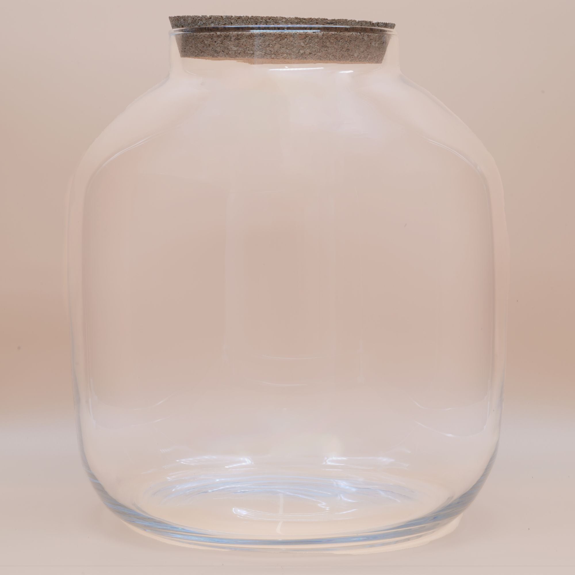 DIY Terrarium Kit Extra Large ◦ Holborn H: 38 cm