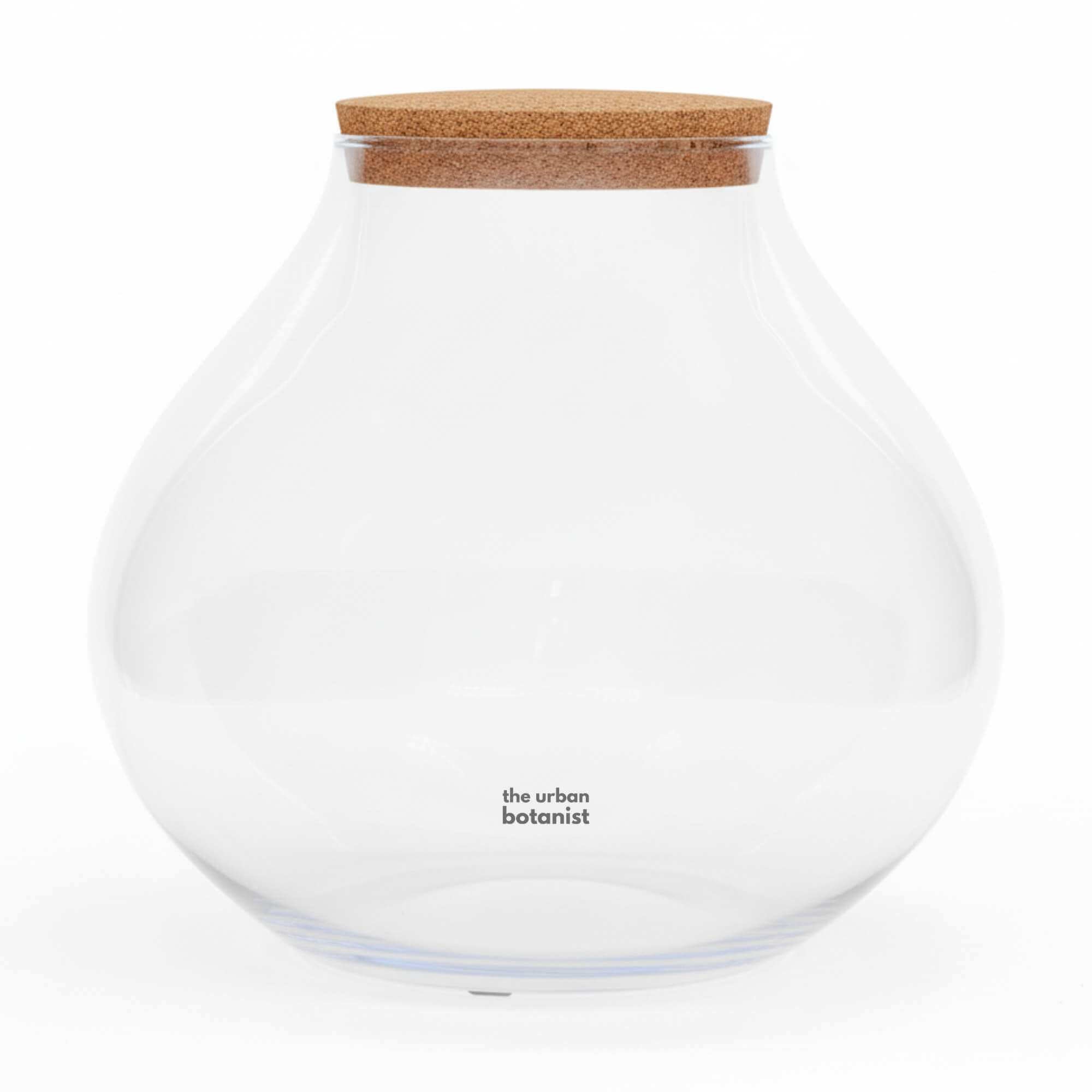 XL glass terrarium jar with cork lid, large round closed terrarium container ideal for indoor plants and tropical terrarium kits.