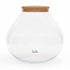 XL glass terrarium jar with cork lid, large round closed terrarium container ideal for indoor plants and tropical terrarium kits.