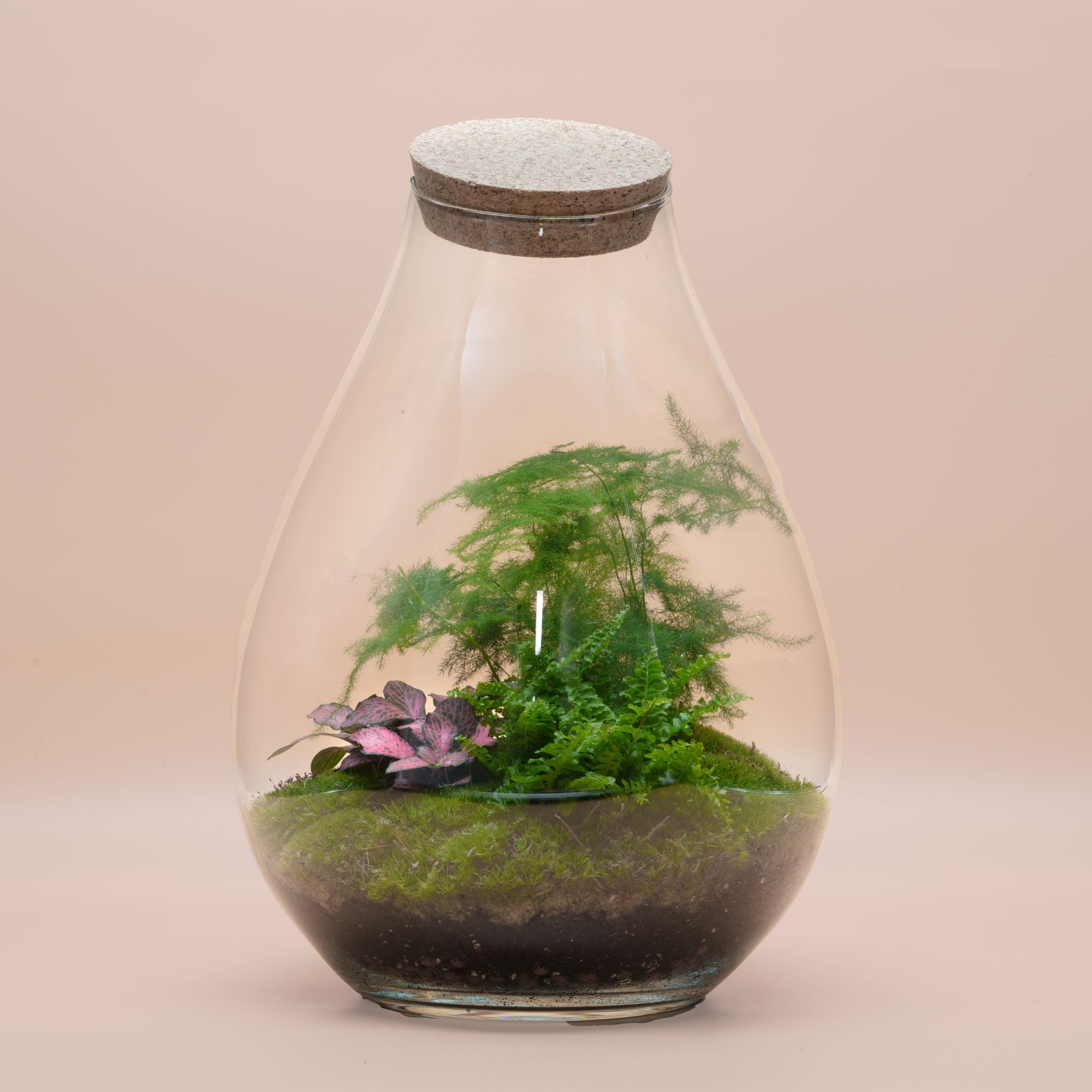 DIY Terrarium Kit ◦ Richmond H: 37 cm