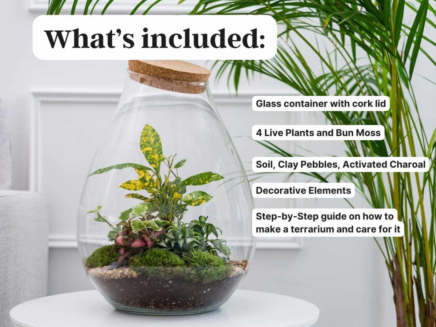 build-your-own-terrarium