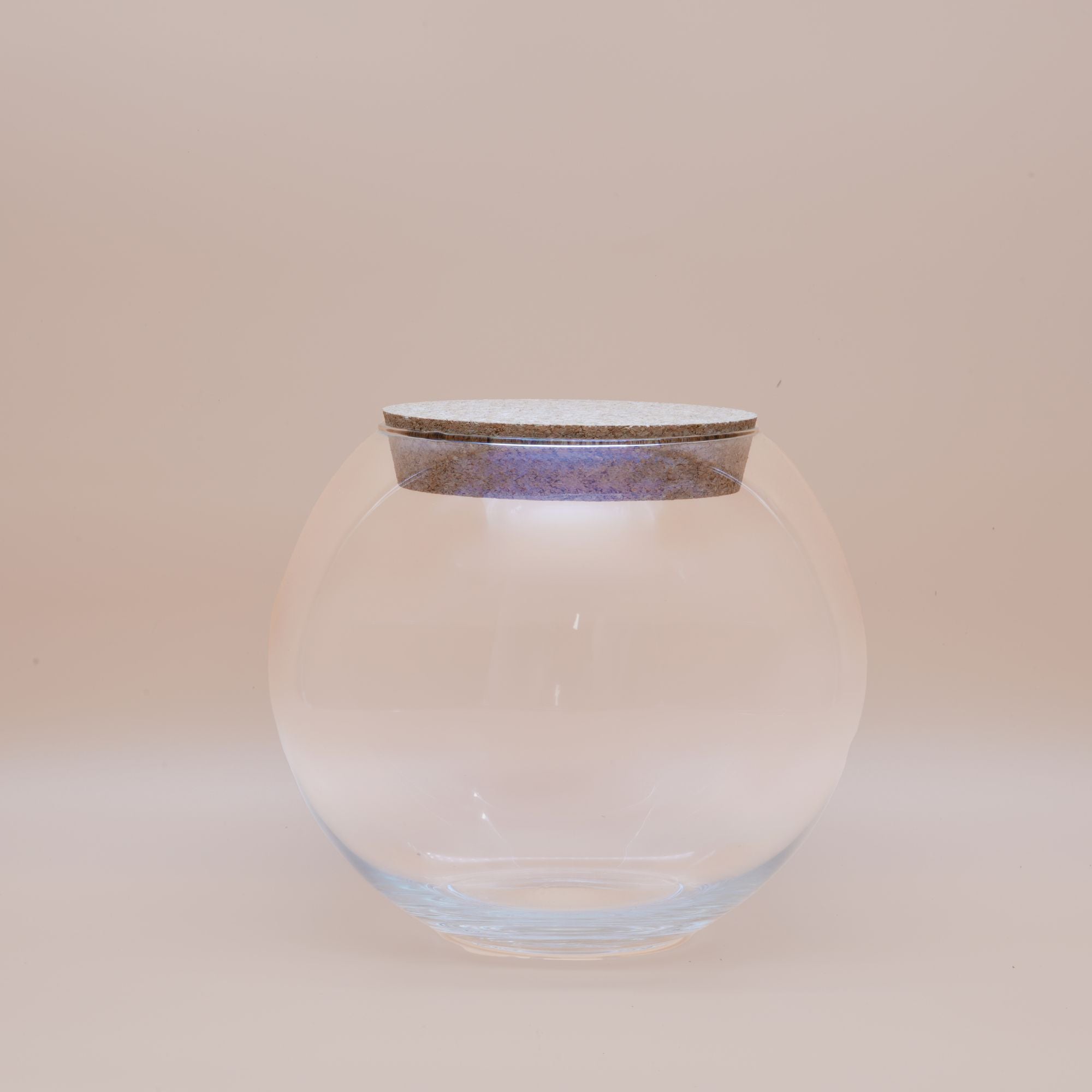 DIY Terrarium Set ◦ Paddington H: 21 cm