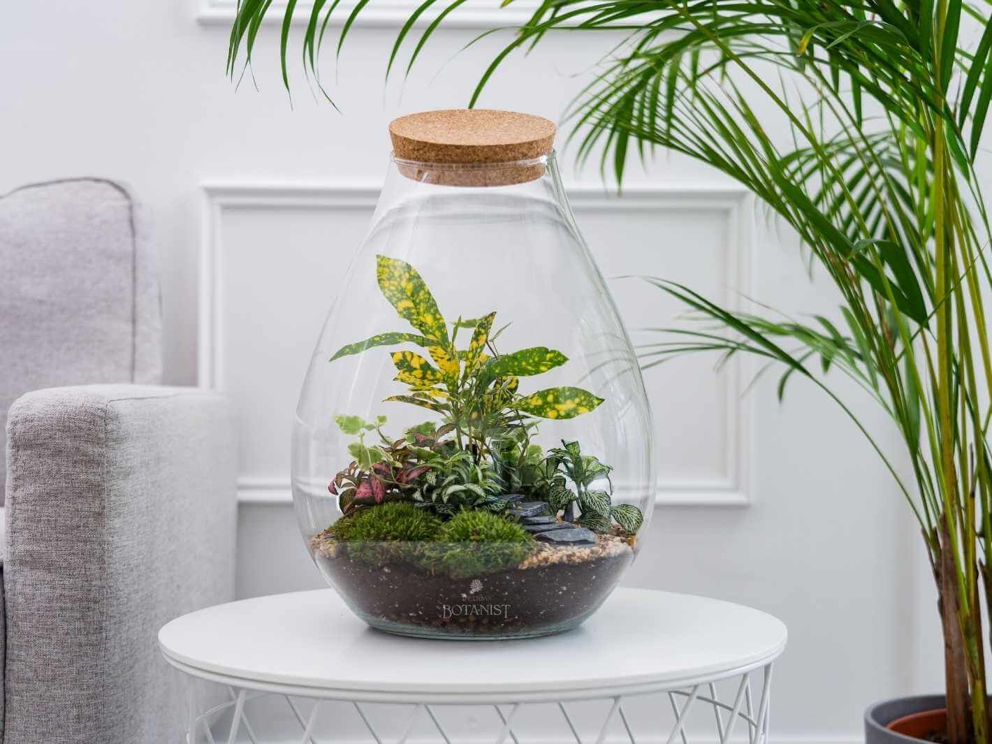 garden-in-a-jar
