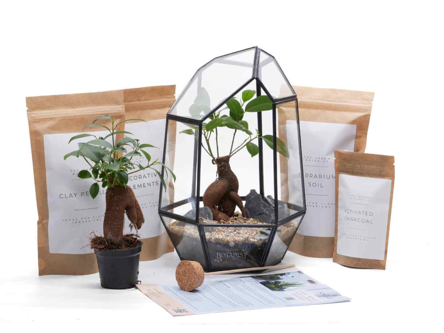 geometric-bonsai-terrarium