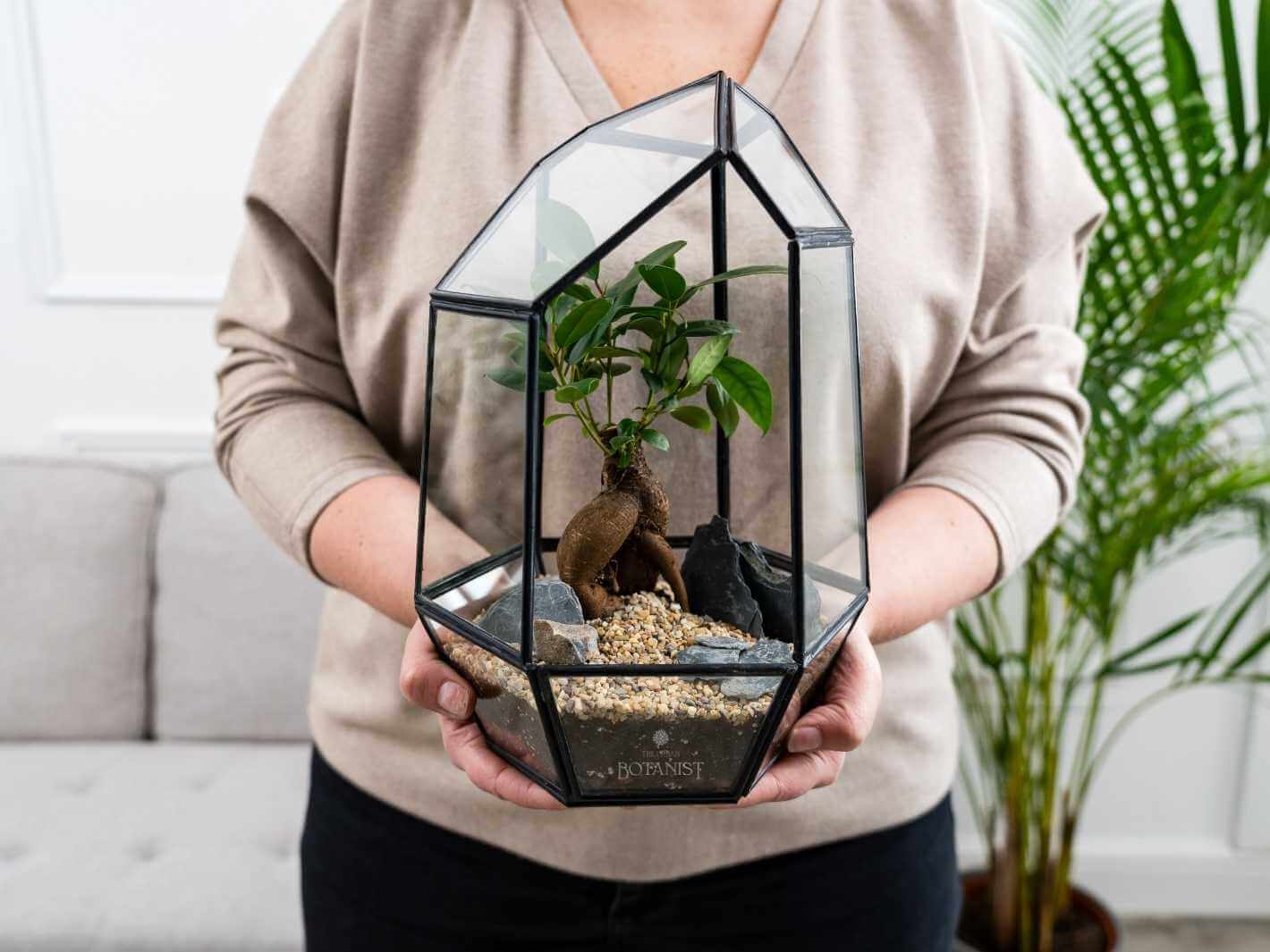bonsai-terrarium