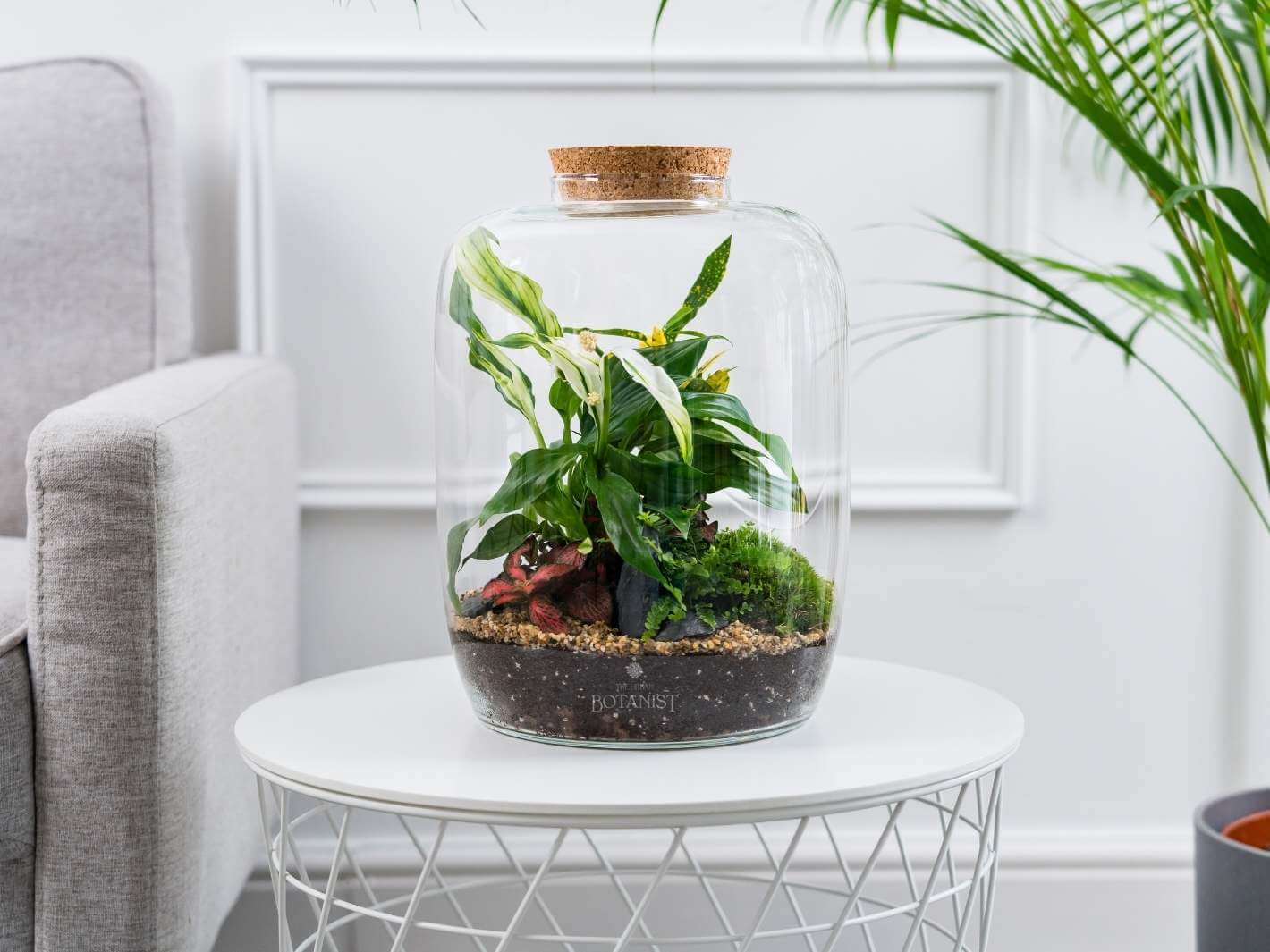 plants-in-glass