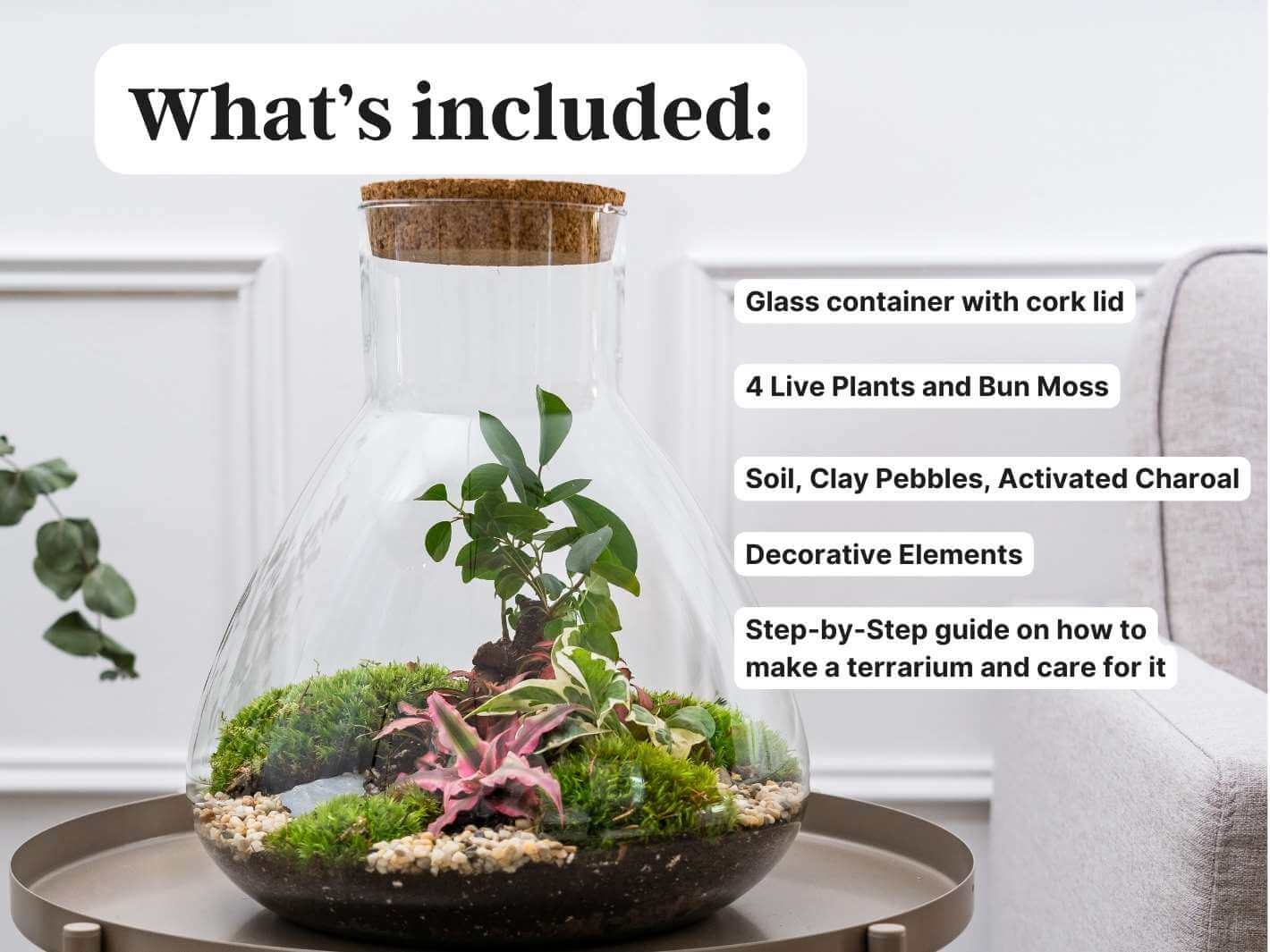 closed-terrarium-kit