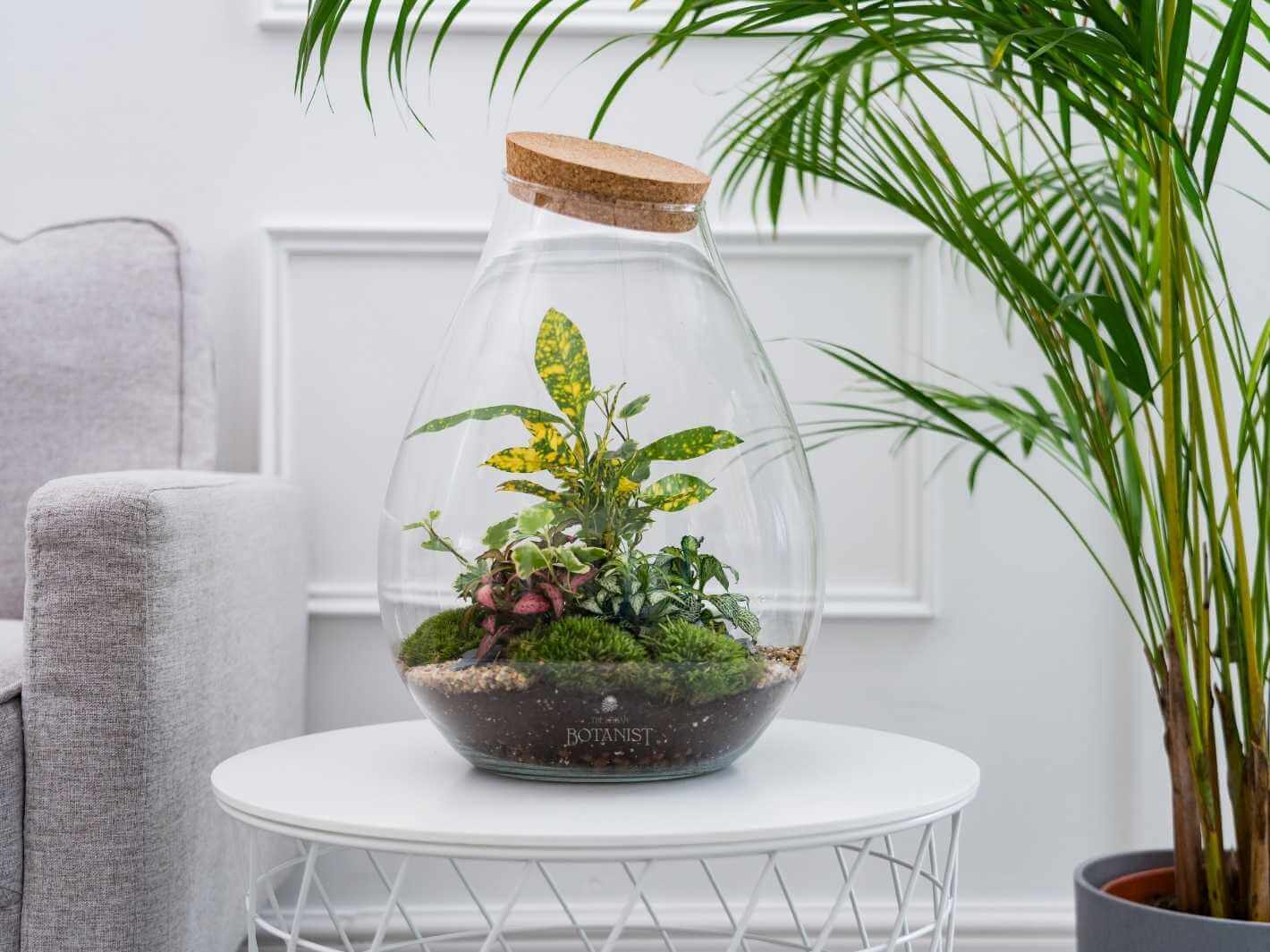 teardrop-terrarium