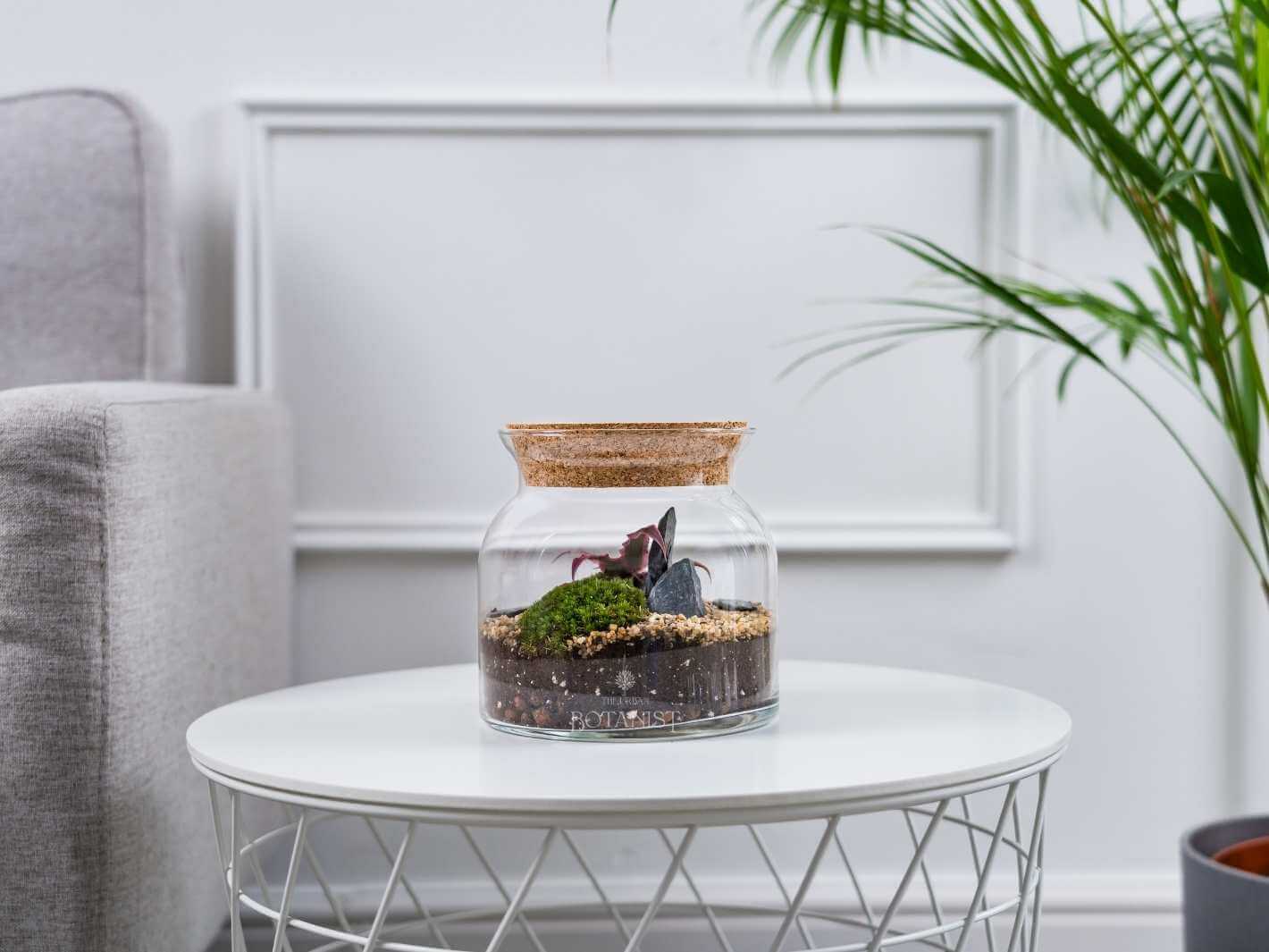 how-to-make-a-terrarium-uk