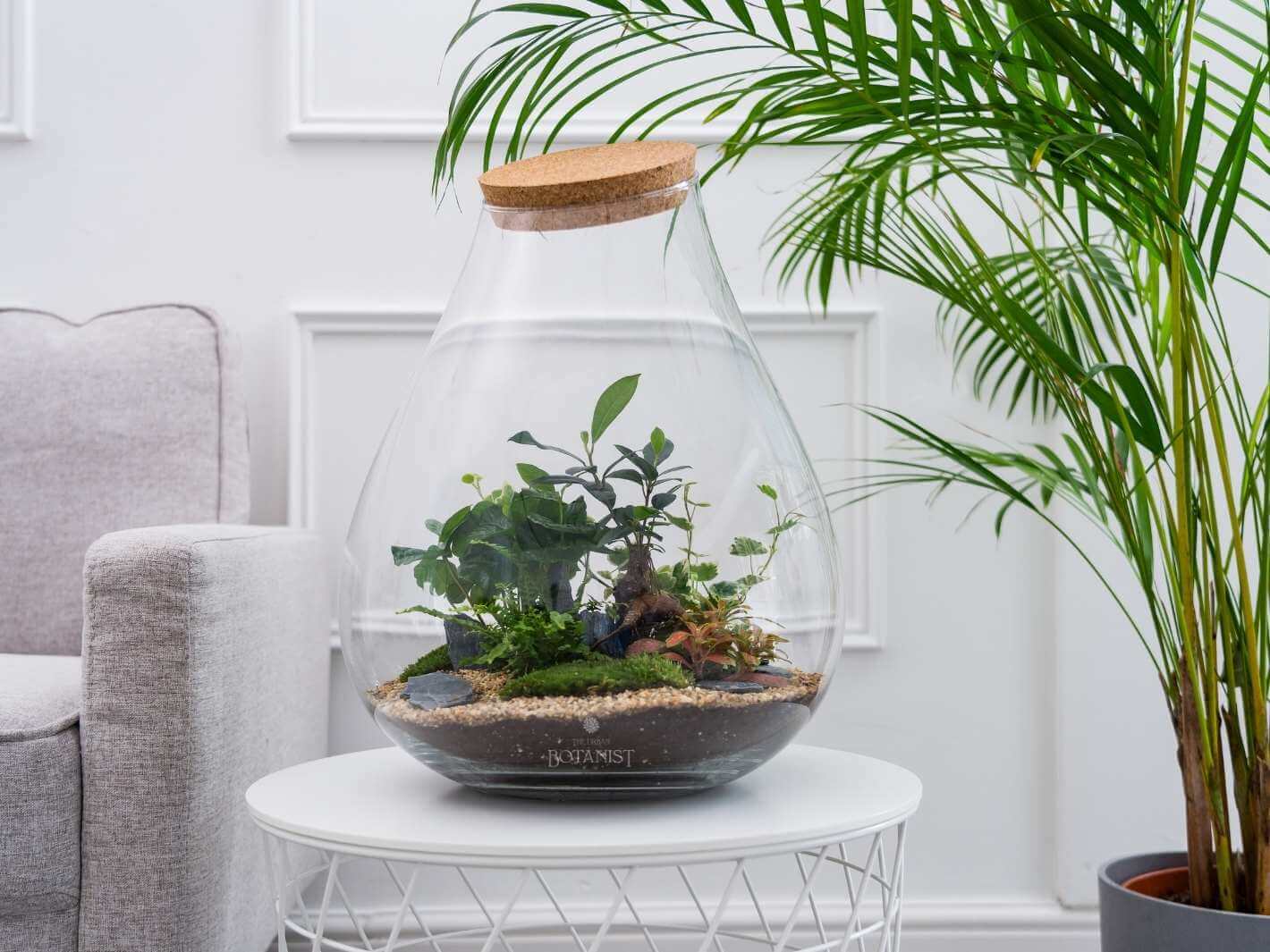 large-terrarium-kit