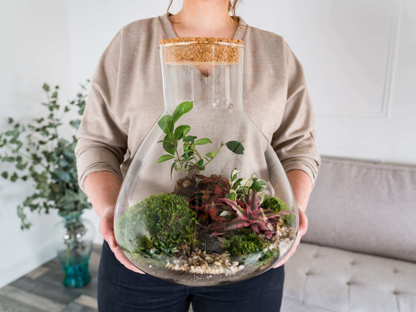 terrarium-kits-for-adults