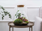glass-terrarium-kits-for-adults