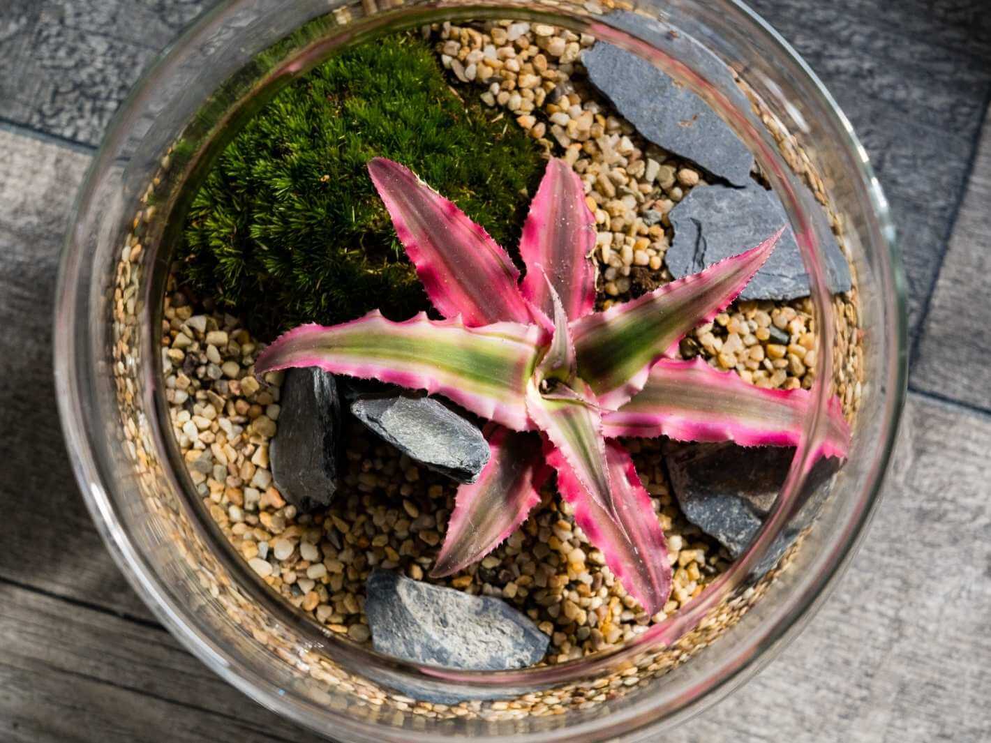botanical-gifts