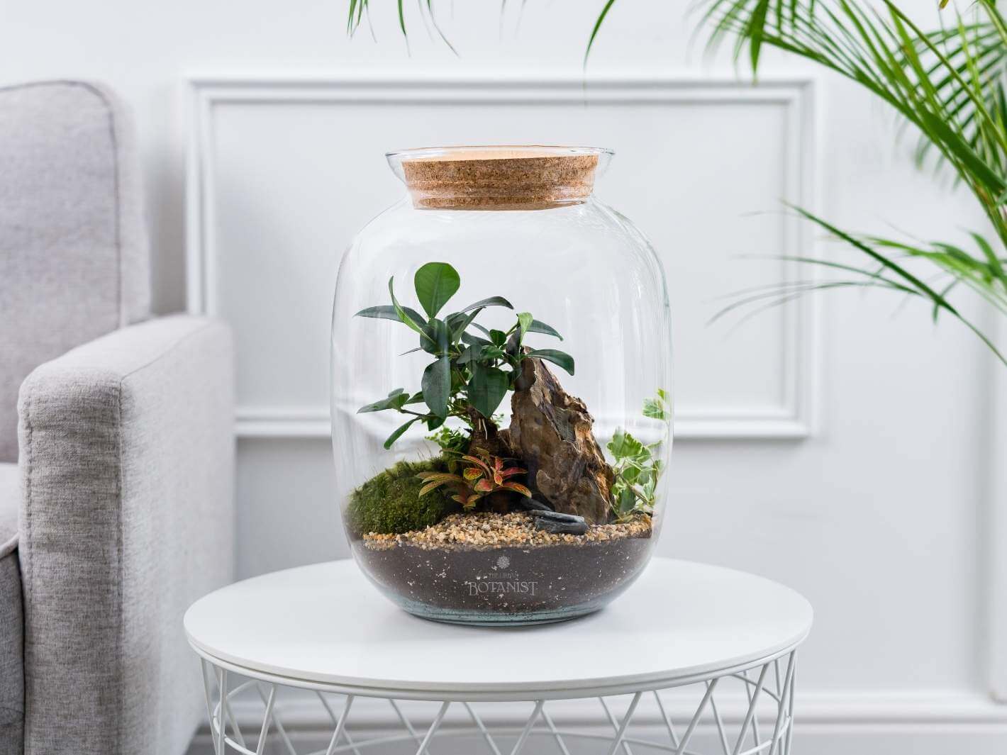 dragon-stone-in-terrarium