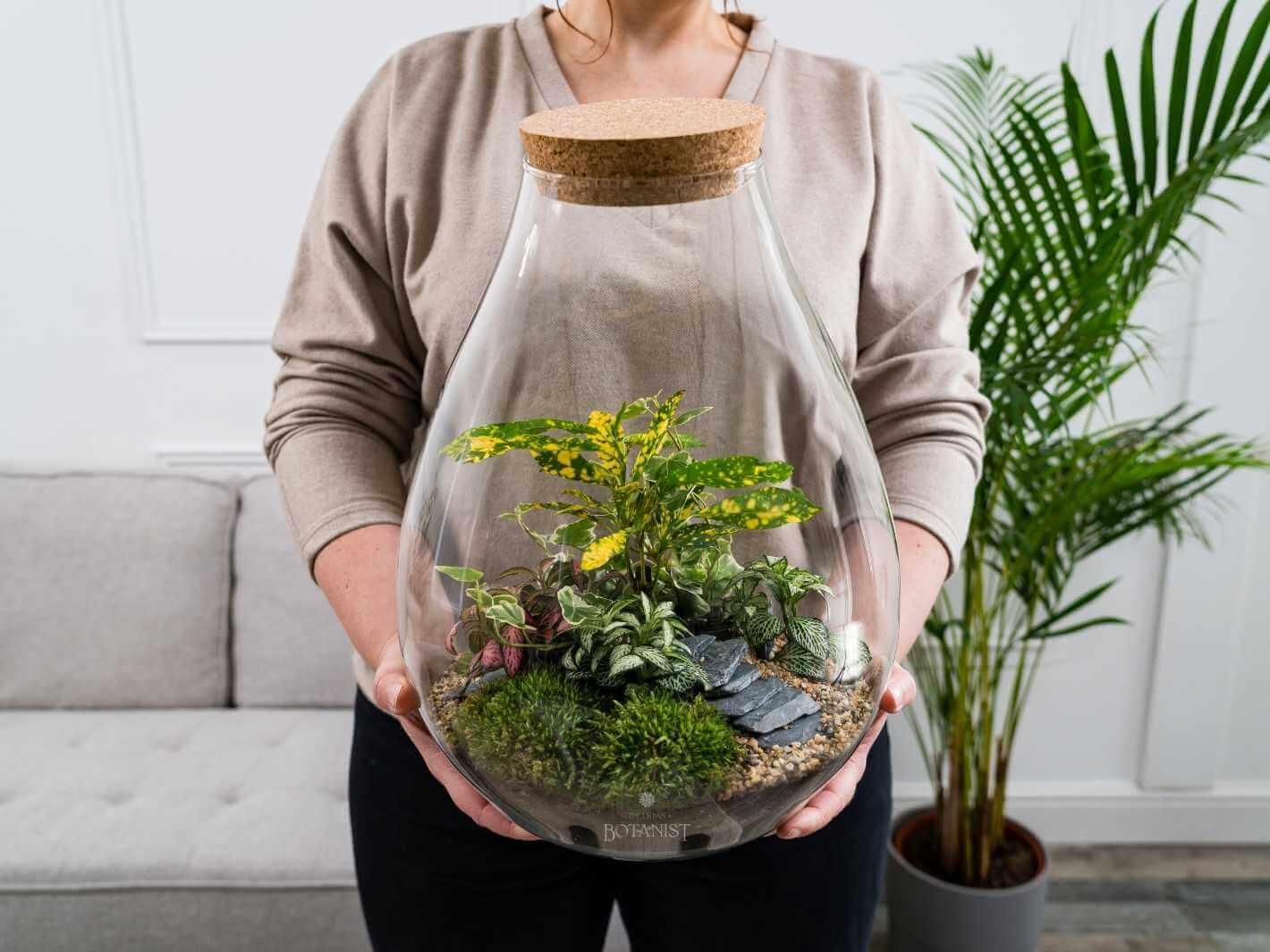 medium-terrarium