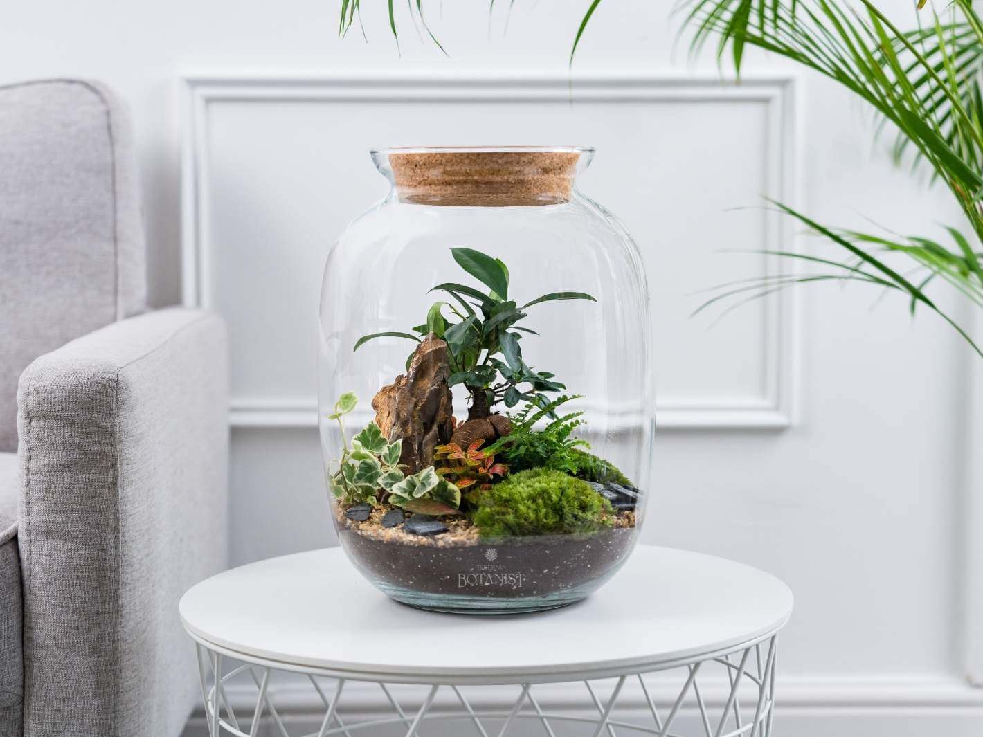 large-bonsai-terrarium