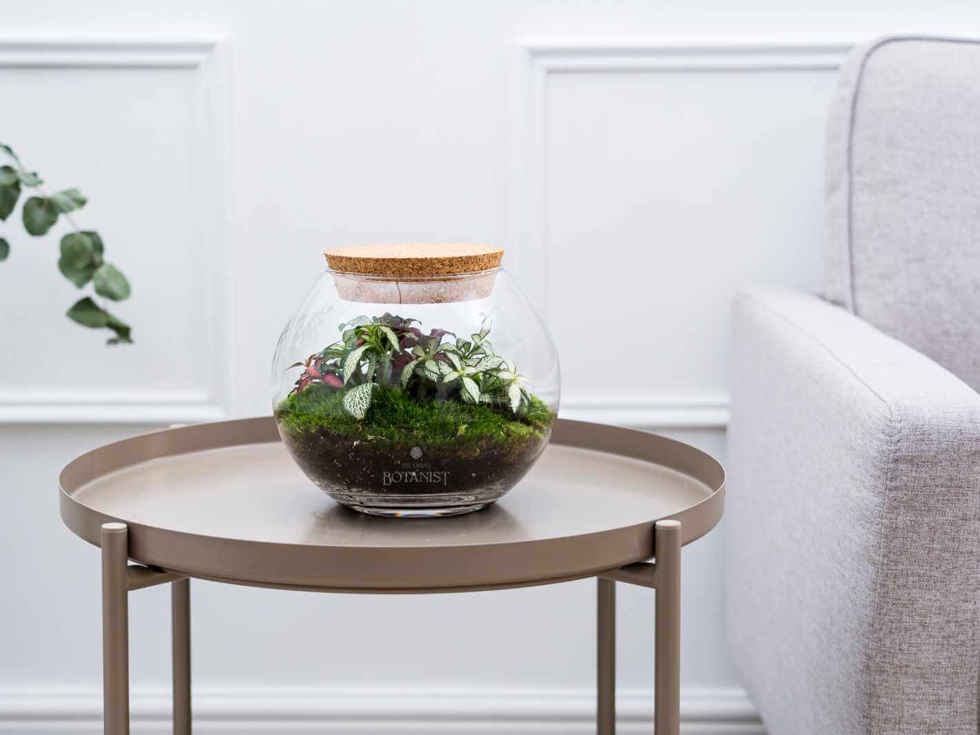 fishbowl-terrarium