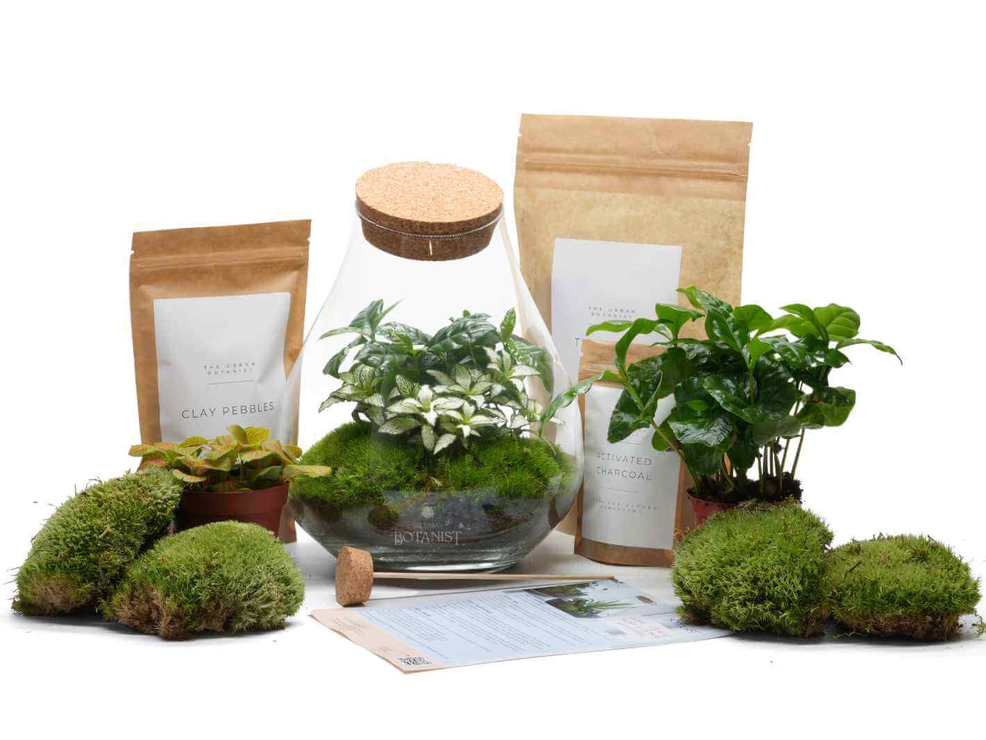 Starter Tropical Terrarium Set