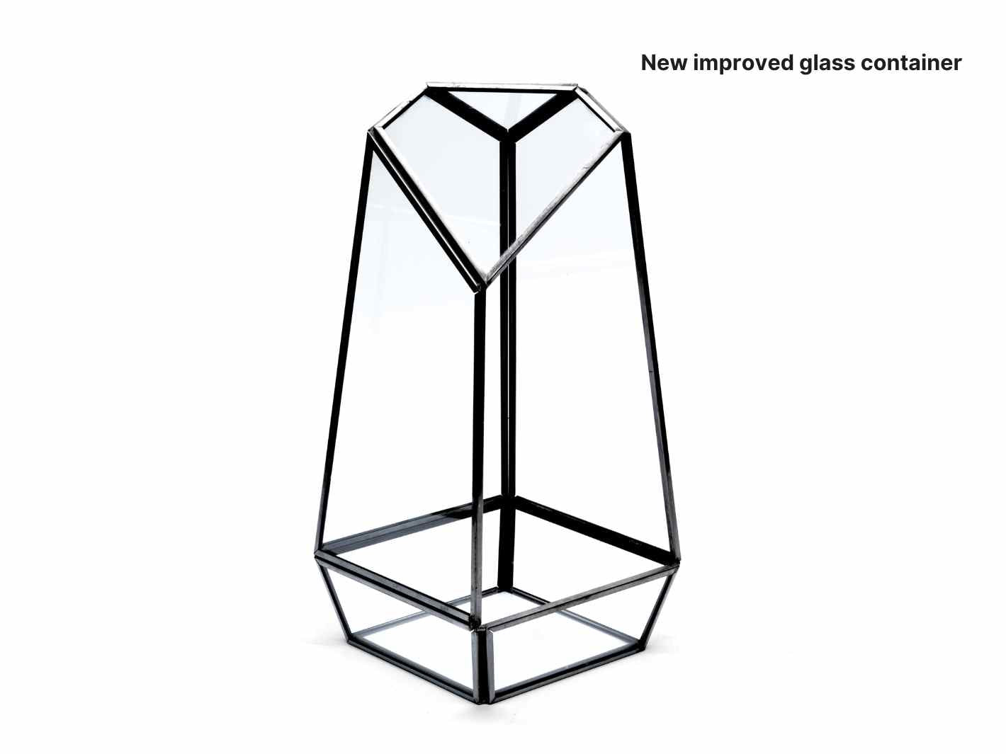 DIY Bonsai Terrarium Kit in Geometric Glass ◦ White City H: 25 cm