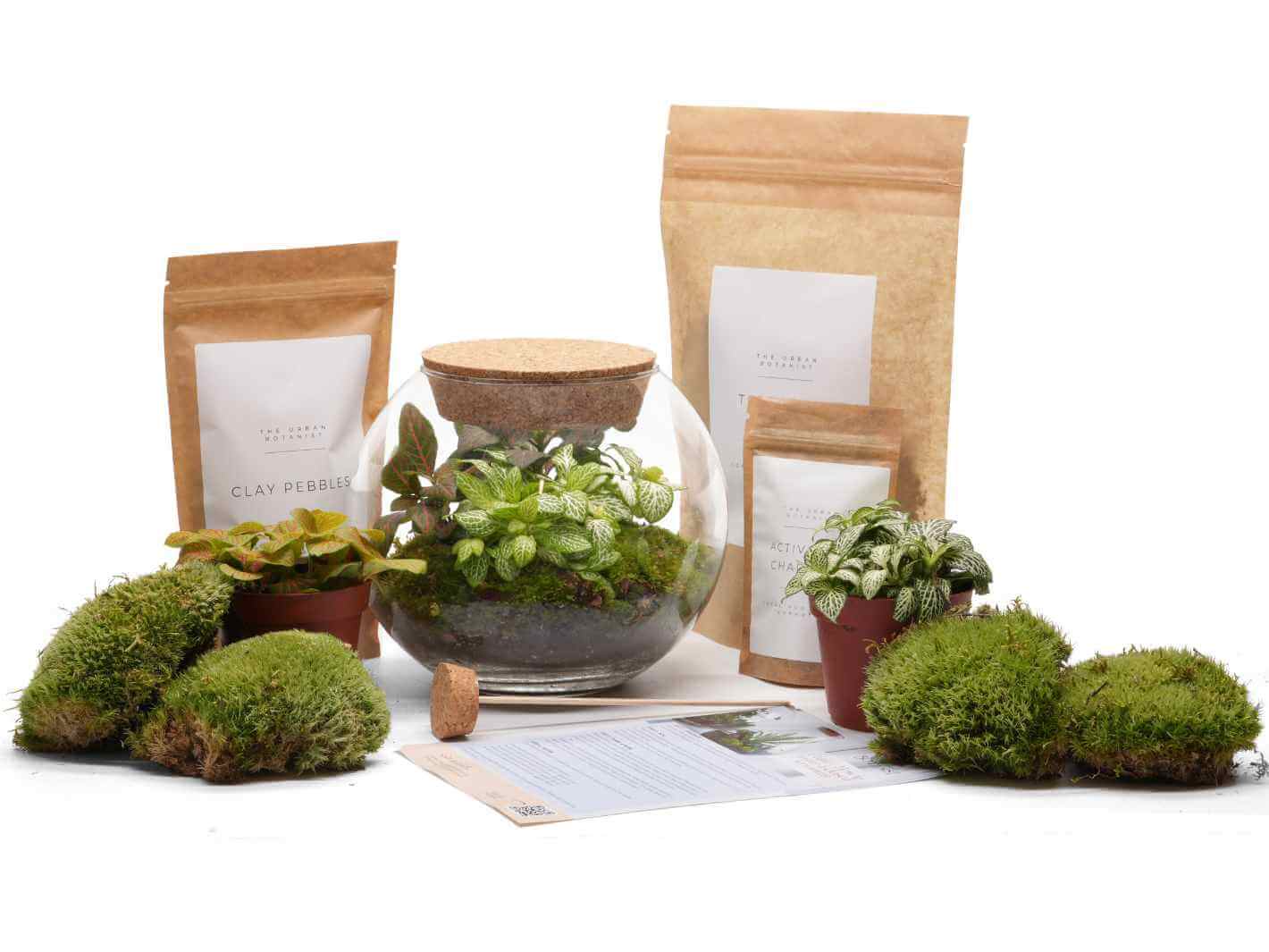 plant_terrarium_kit