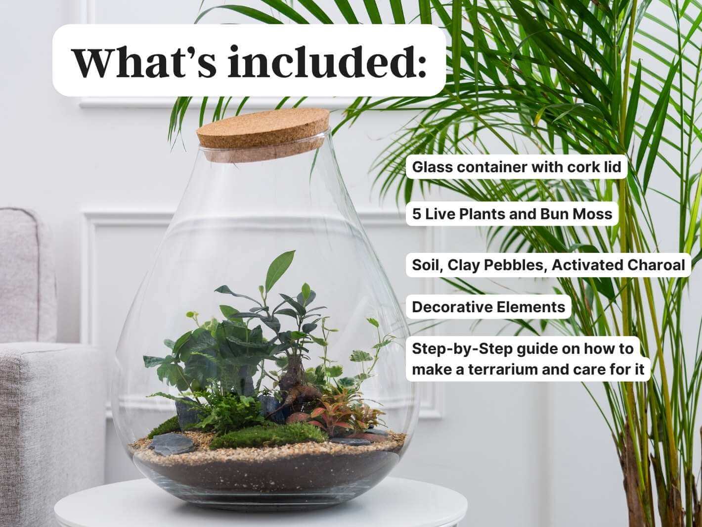 complete-terrarium-kit
