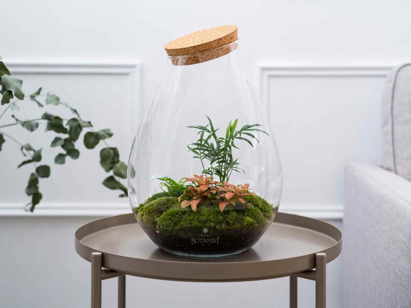 closed terrarium