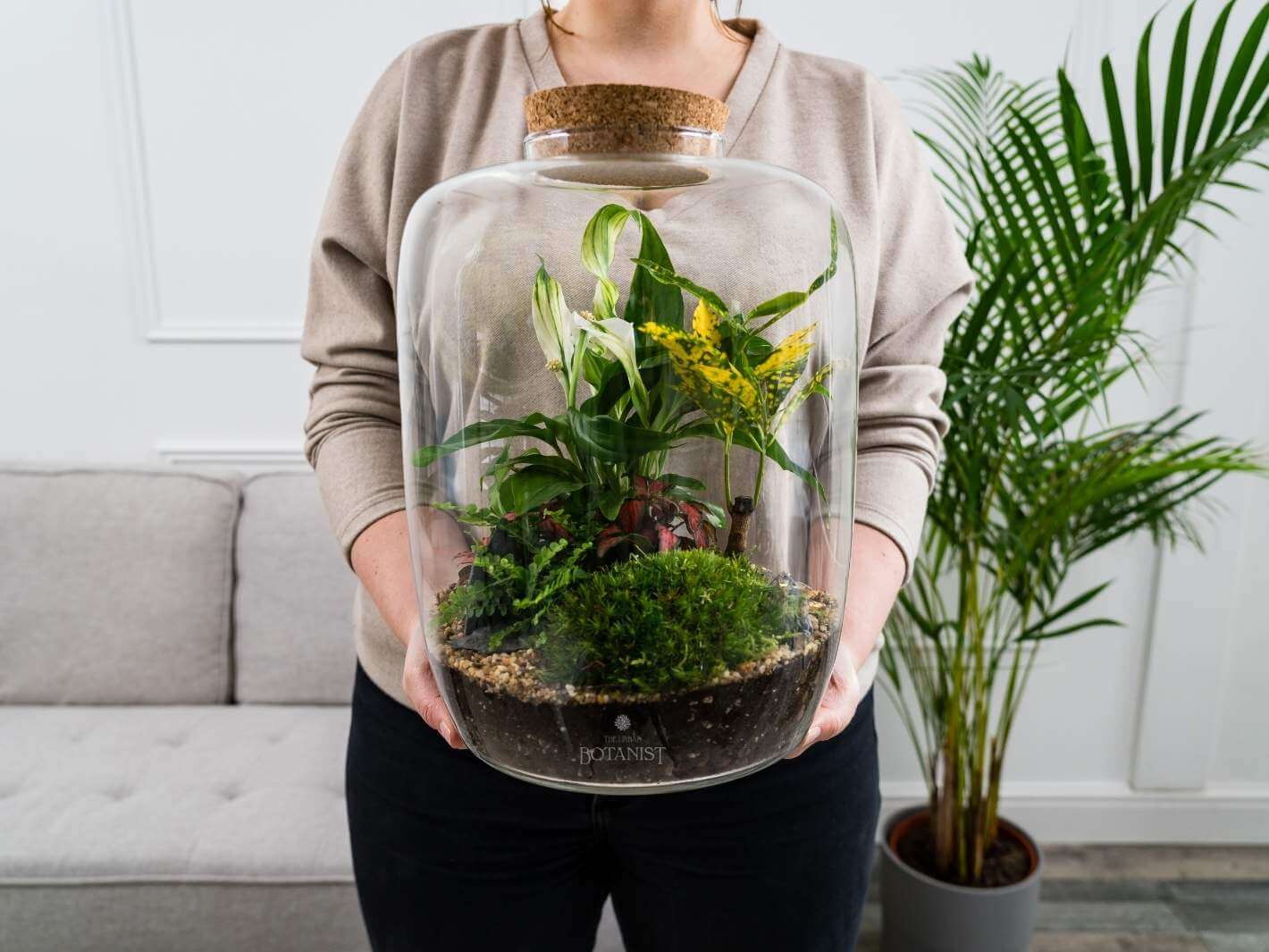 colourful-terrarium