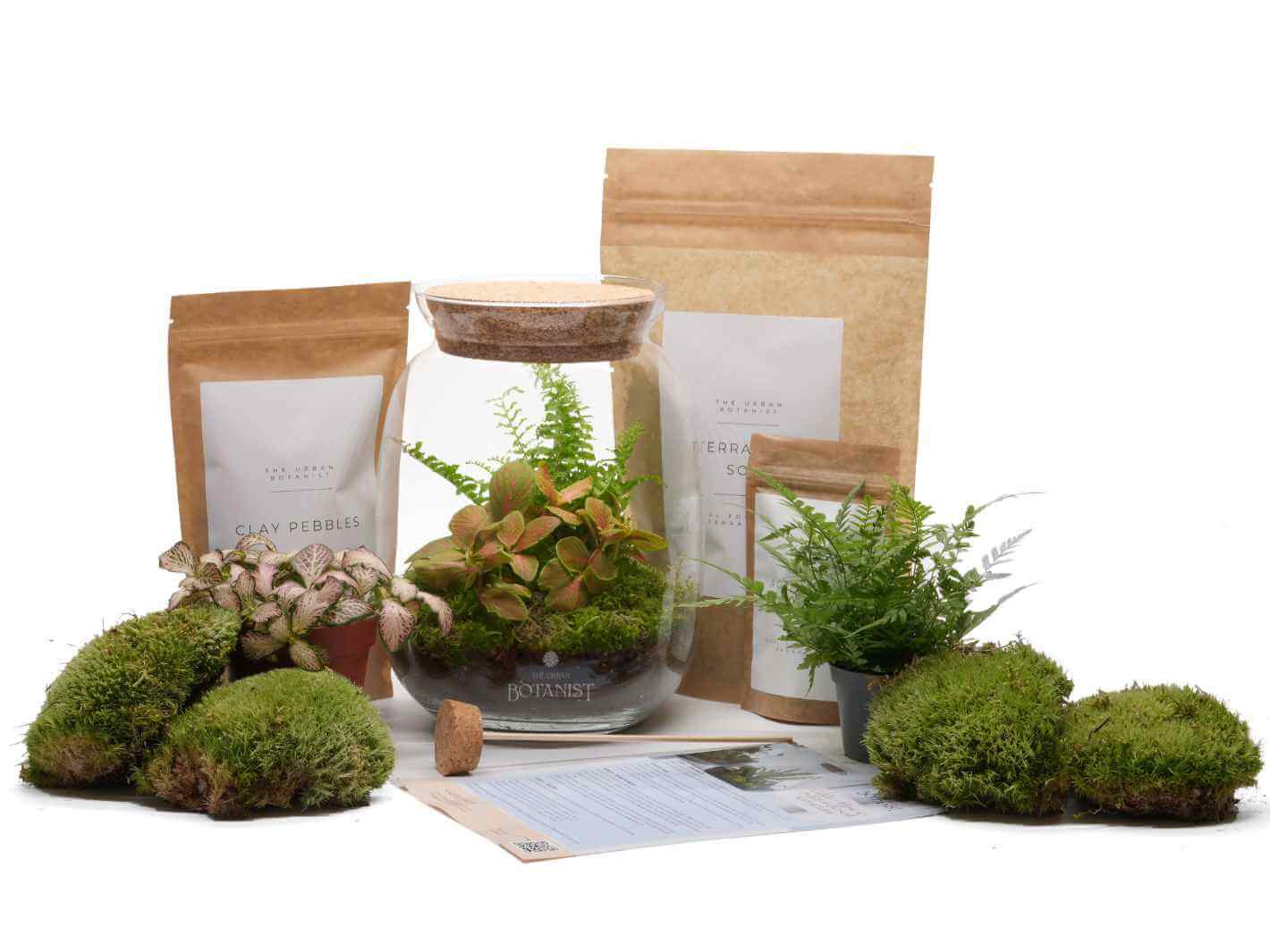 diy set plant terrarium DIY Terrarium Kit: Create Your Own Ecosystem