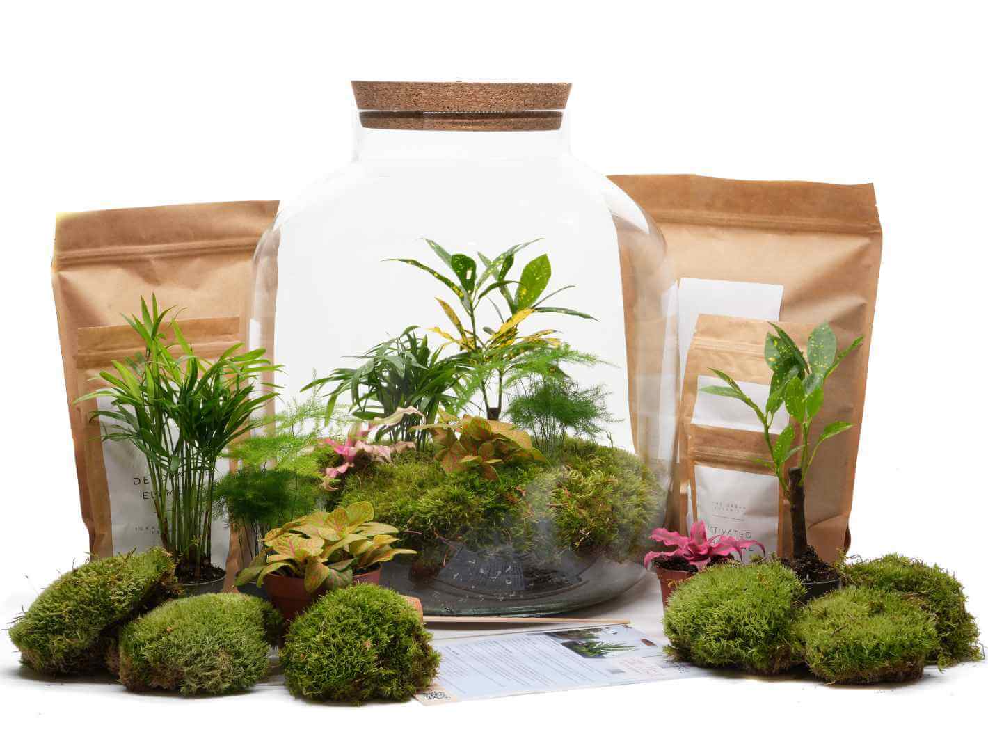 extra large terrarium for plants Extra Large Terrarium Kit - Complete Set