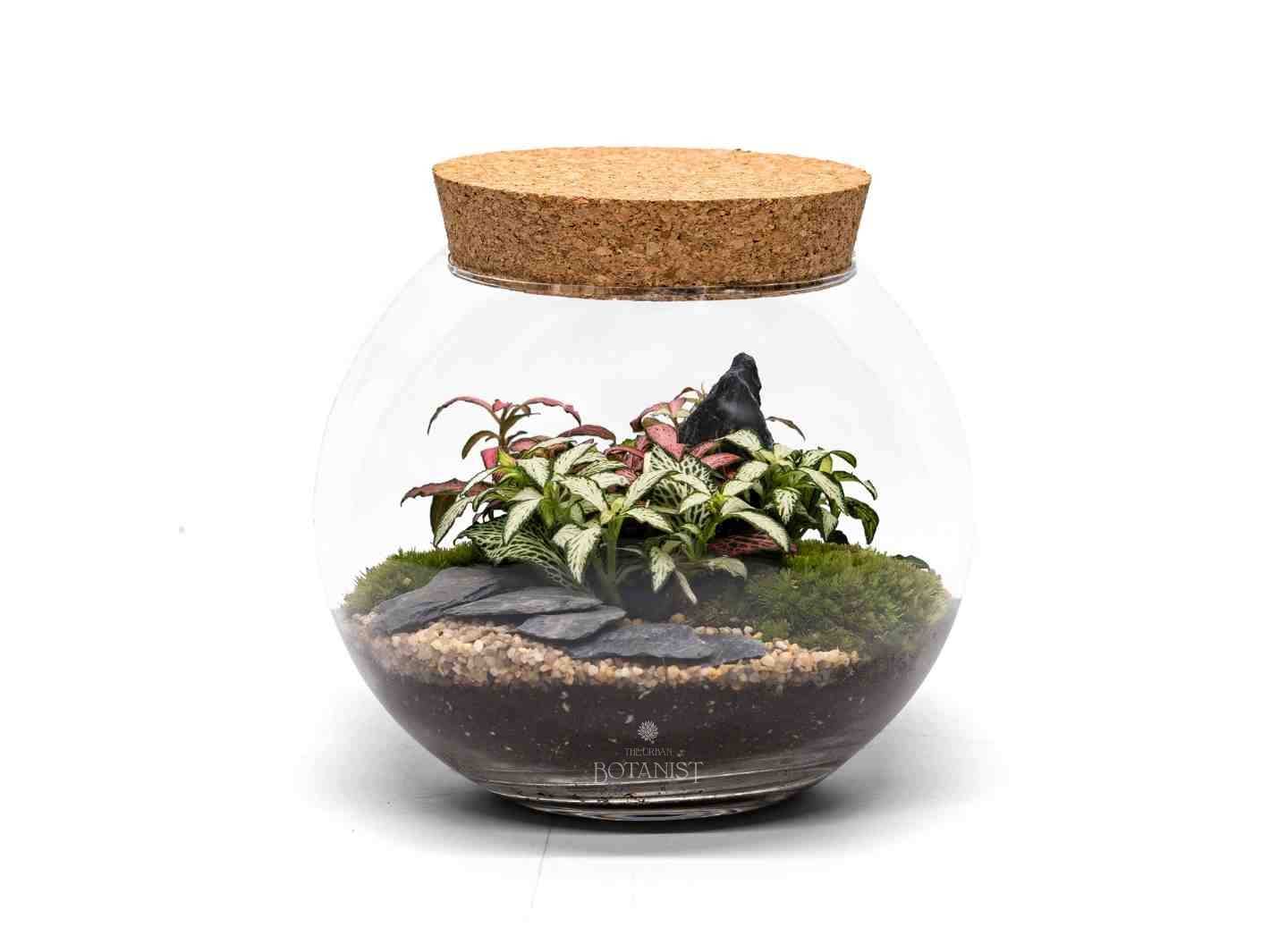 How to Make a terrarium