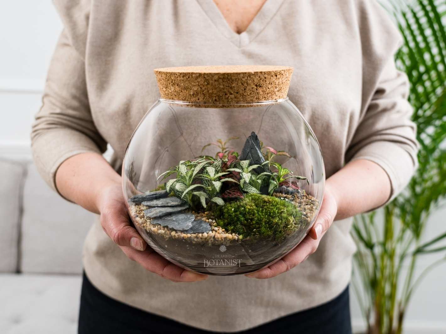 Terrarium for a gift