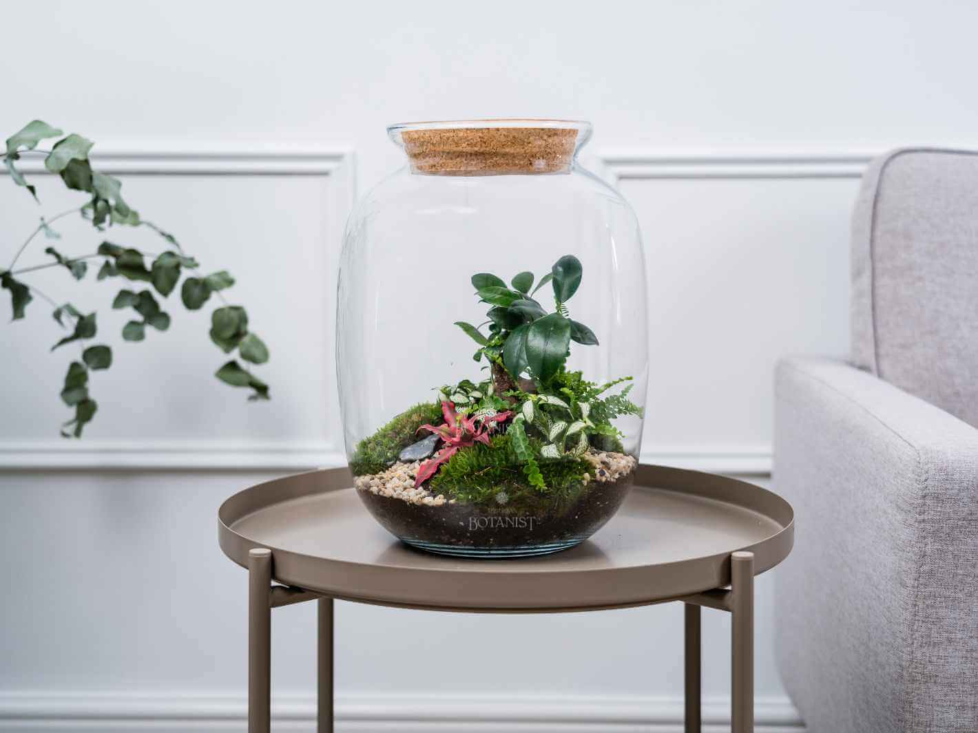 fully assembled terrarium