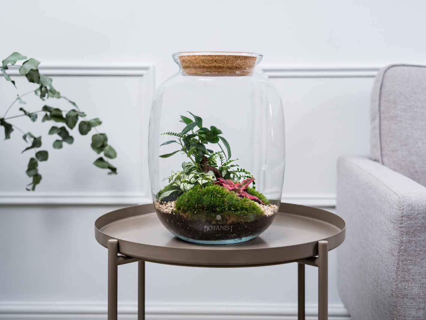 closed ready made terrarium