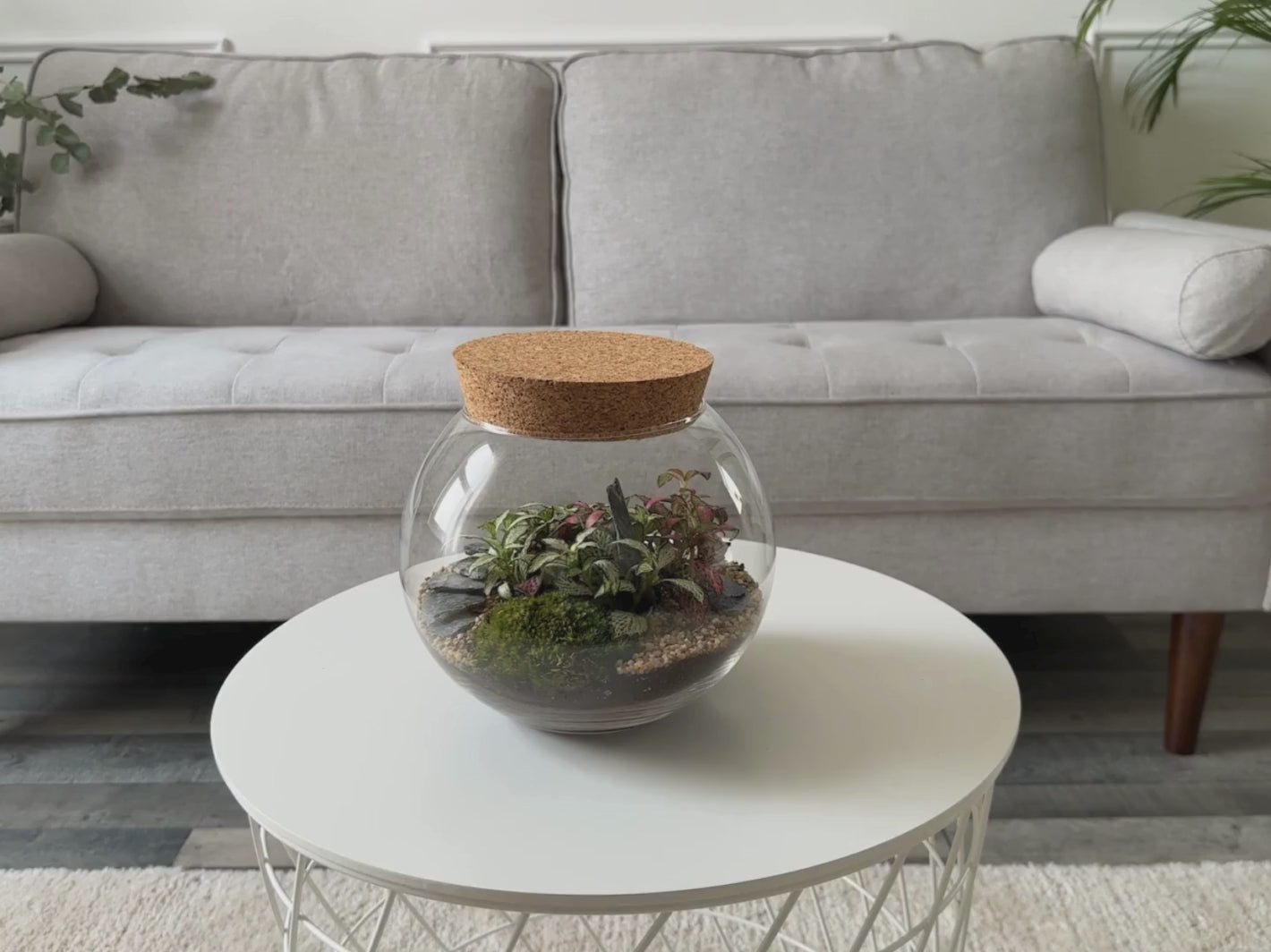 Make-your-own-terrarium