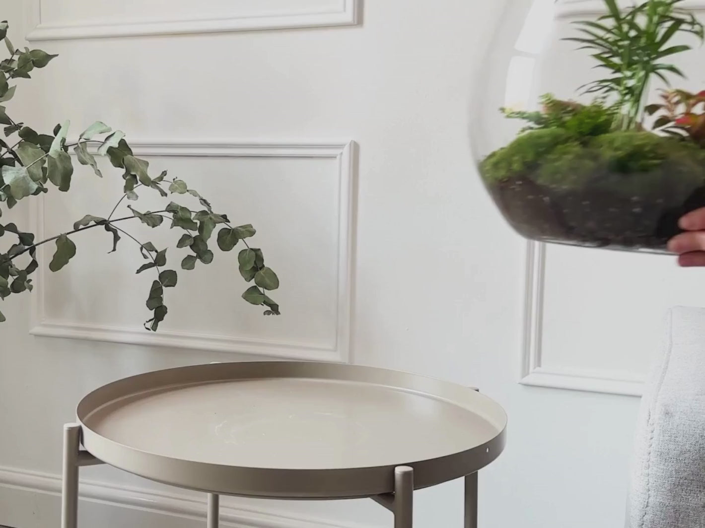 DIY Terrarium Kit ◦ Richmond H: 37 cm