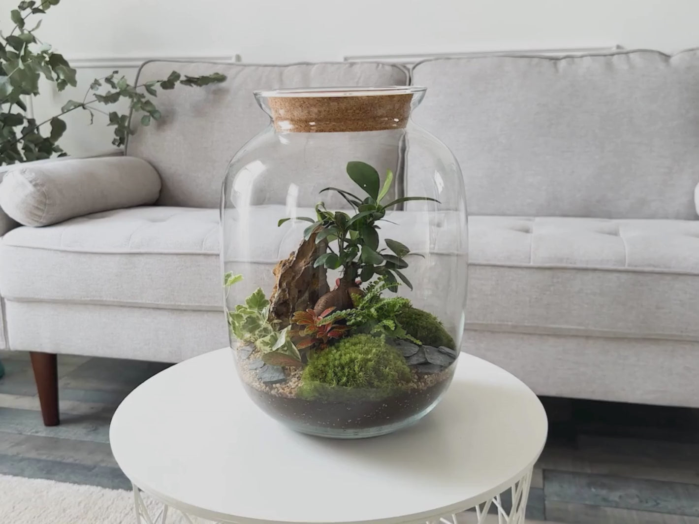 self-sustaining ecosystem terrarium