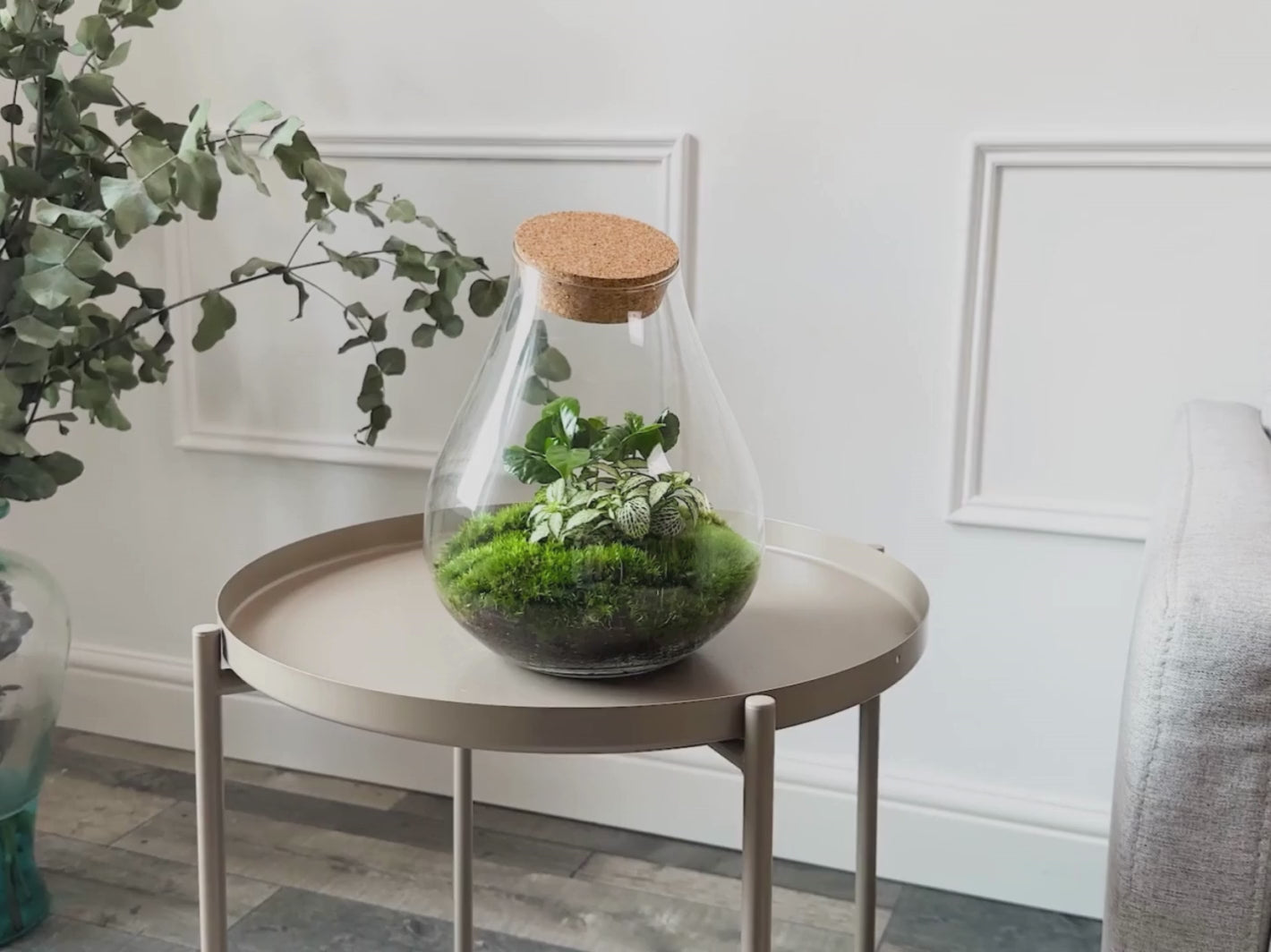 Small-teardrop-terrarium