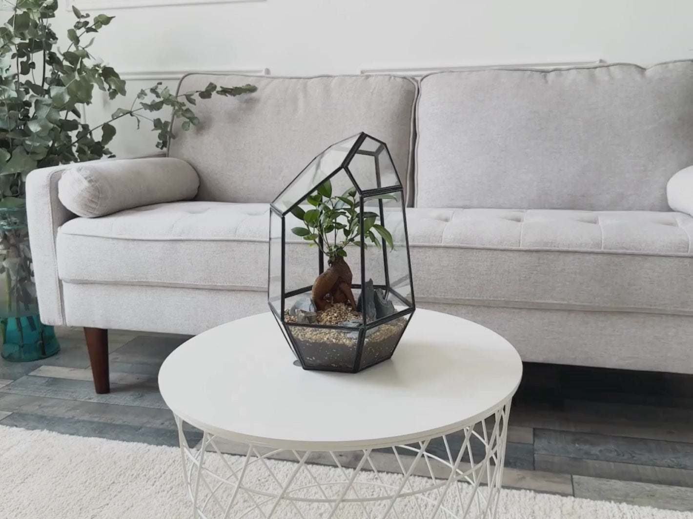 bonsai-geometric-terrarium-kit