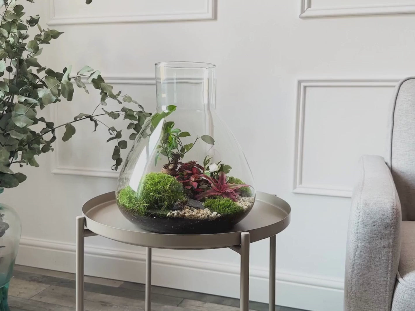 Light up terrarium