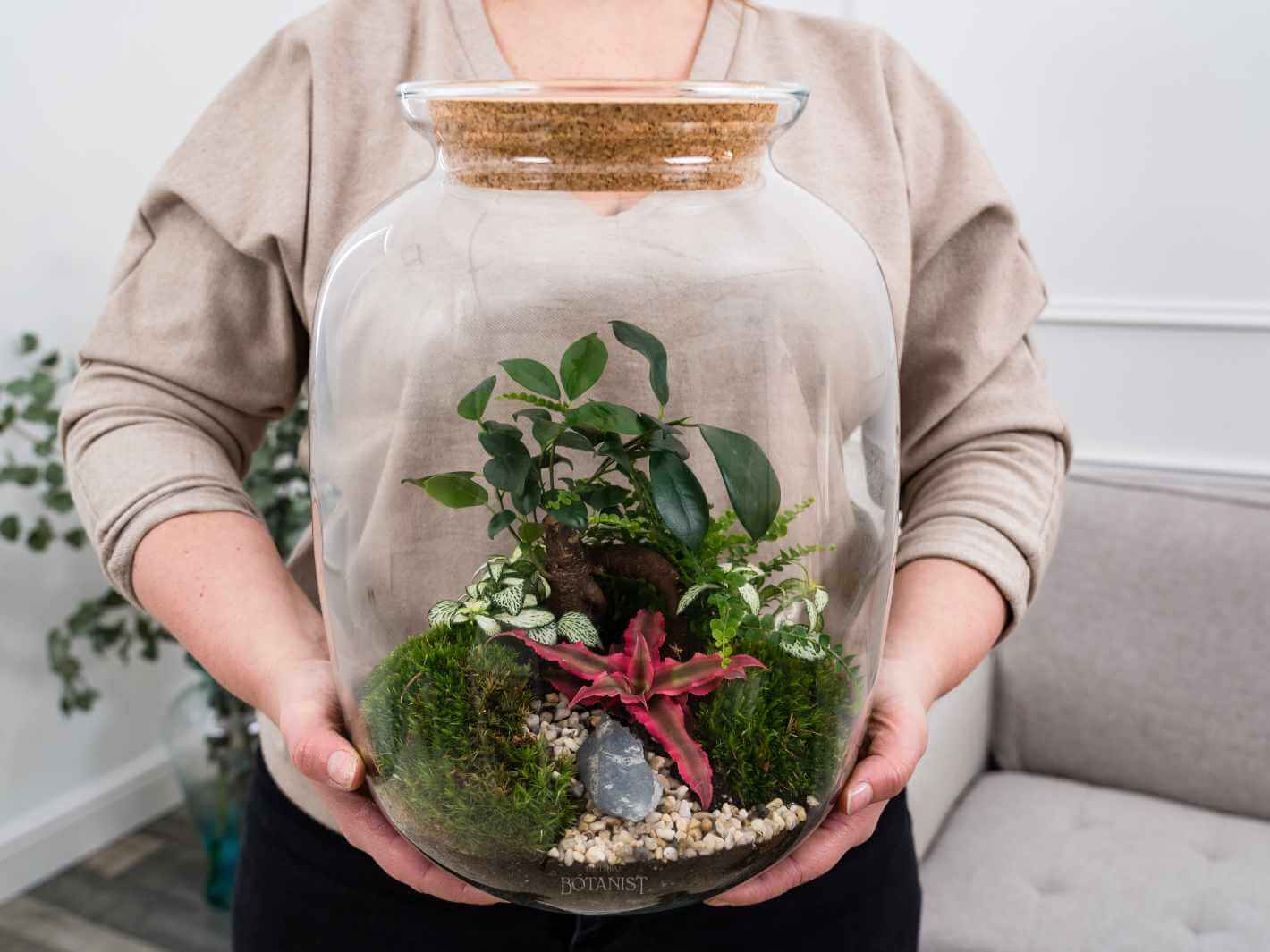 ready to ship terrarium