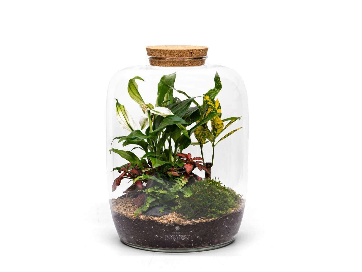 beginner-friendly-terrarium-set