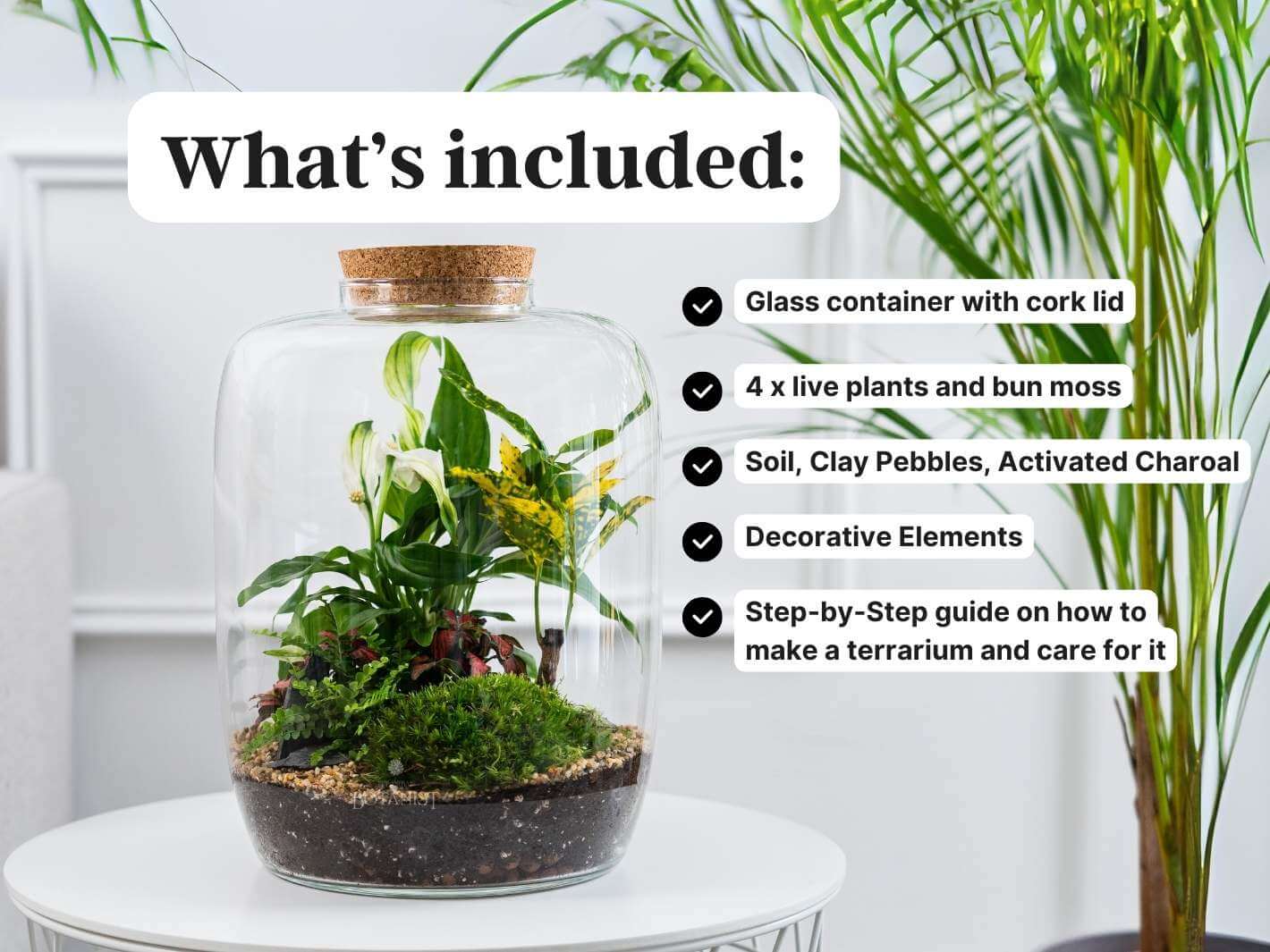 all-inclusive-terrarium-kit