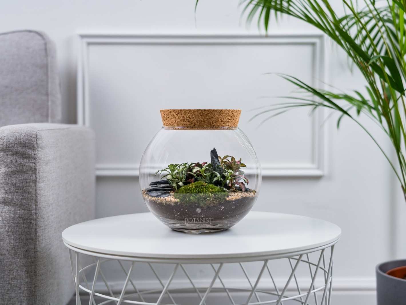 Terrarium Kit with Glass Container and Plants