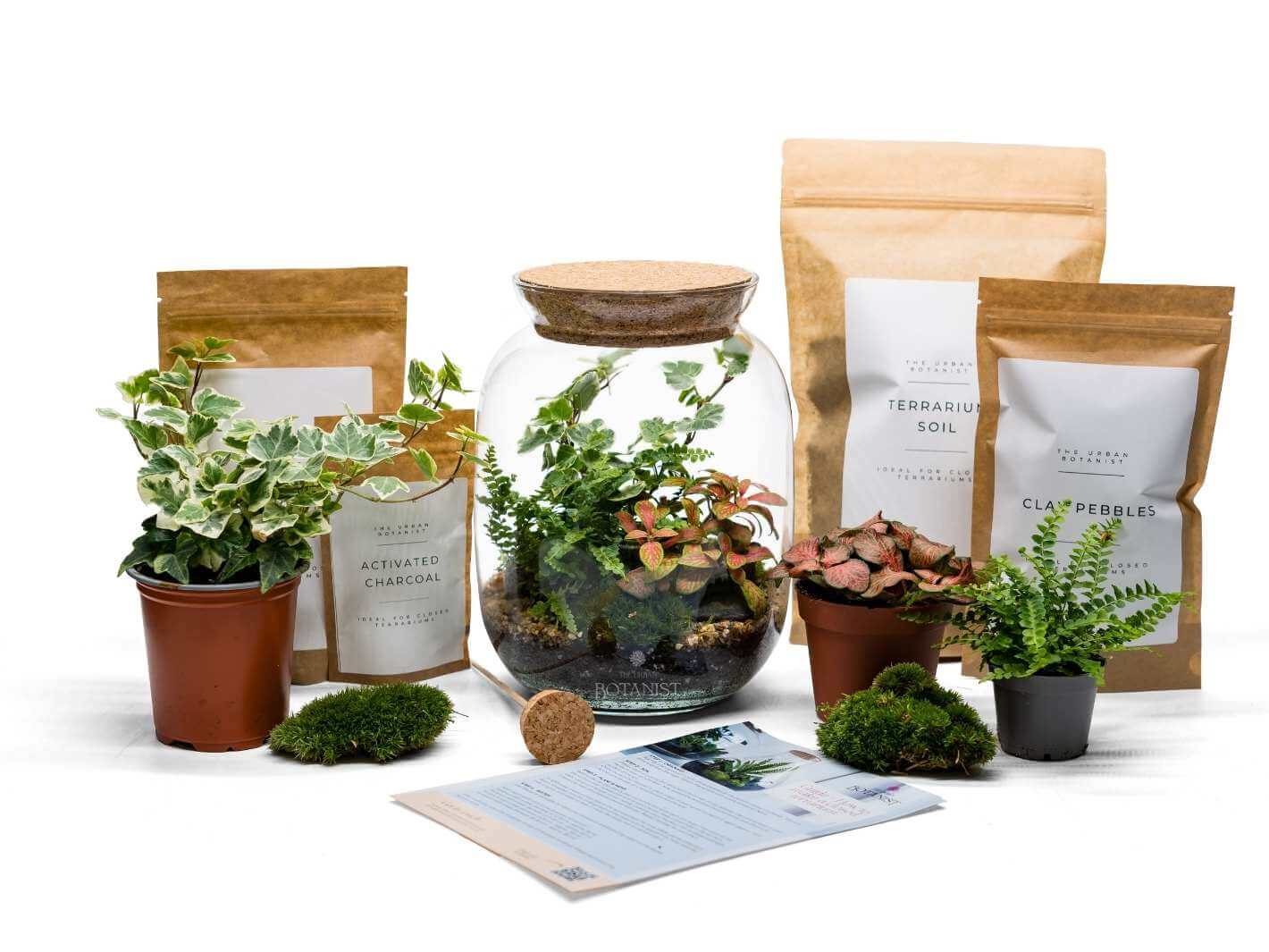 diy terrarium kit with plants Buy DIY Terrarium Kit UK