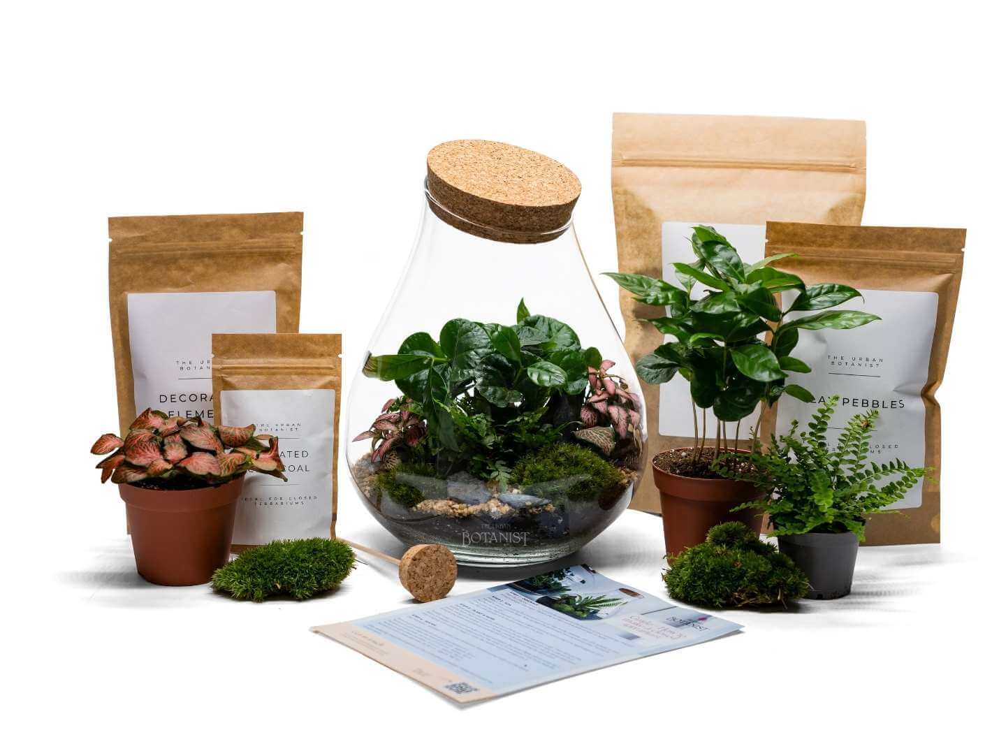 terrarium plant hema DIY Teardrop Terrarium Kit | Your Mini Garden