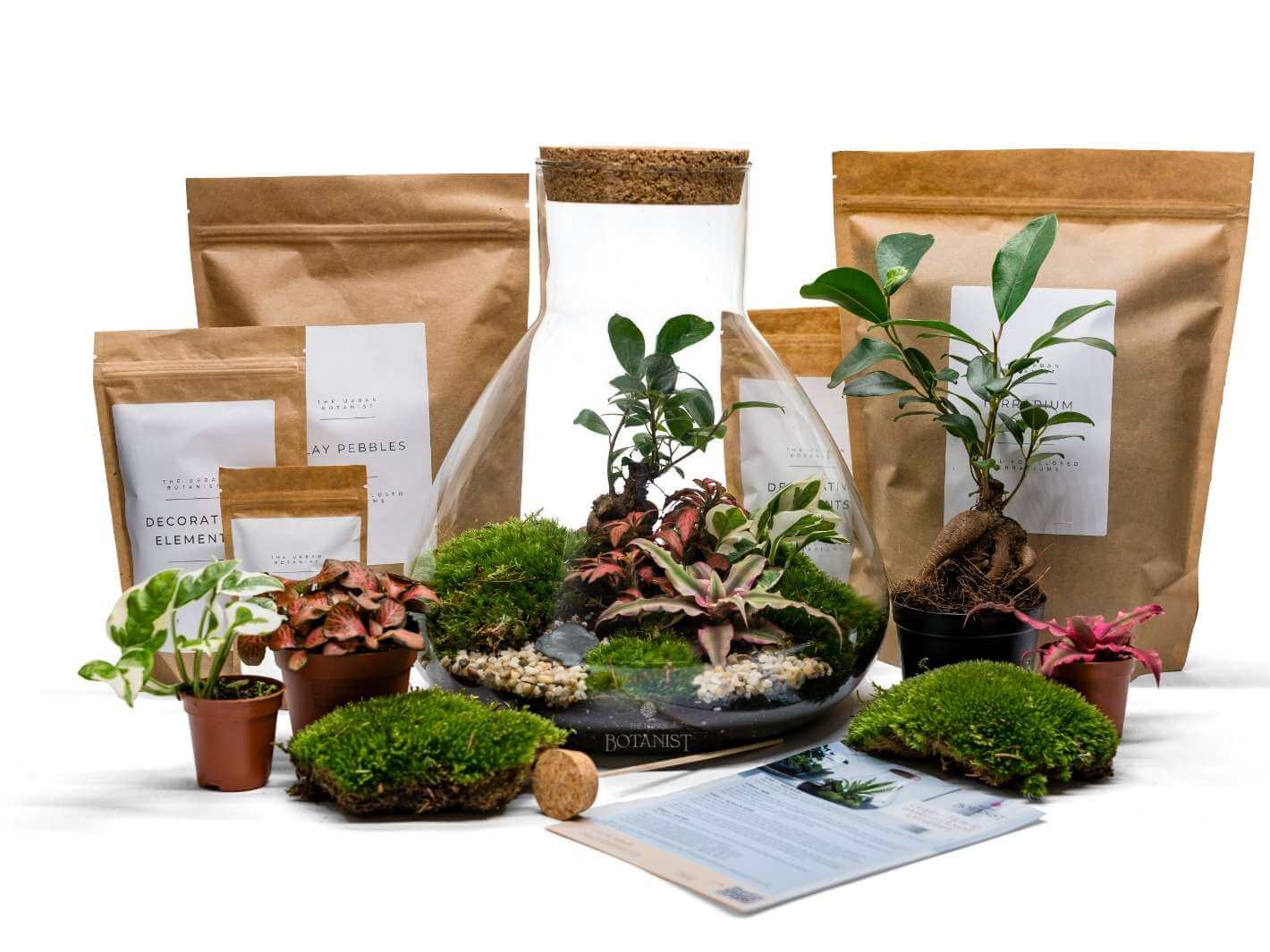 terrarium-with-plants-included