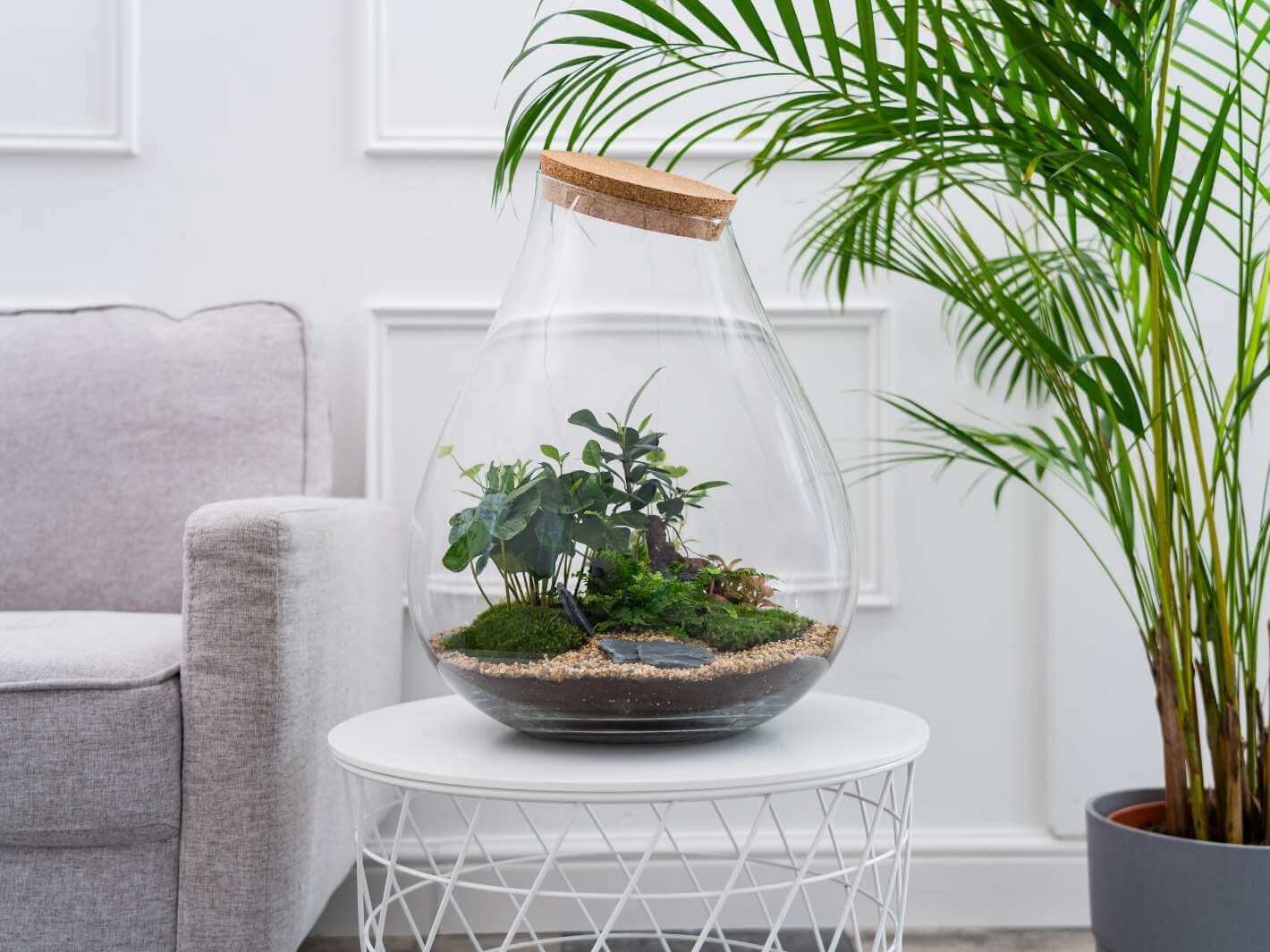 Teardrop-terrarium