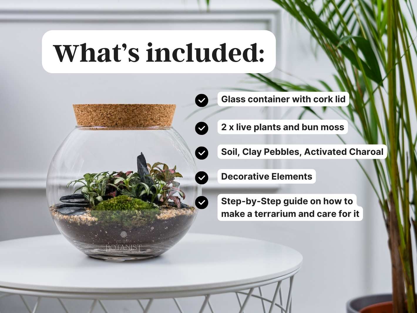 How to make a terrarium